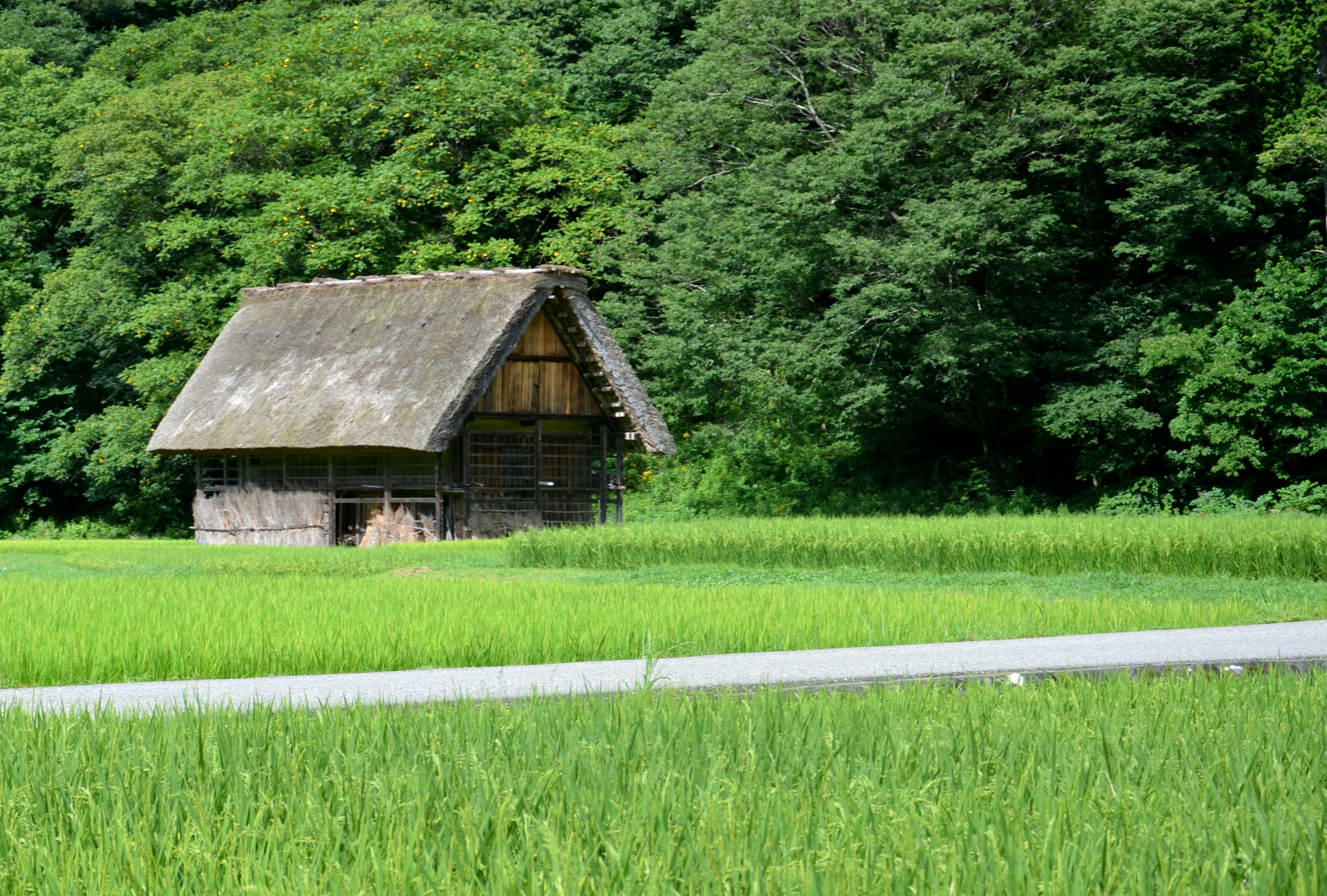 Casa tradicional con techo de paja rodeada de campos verdes