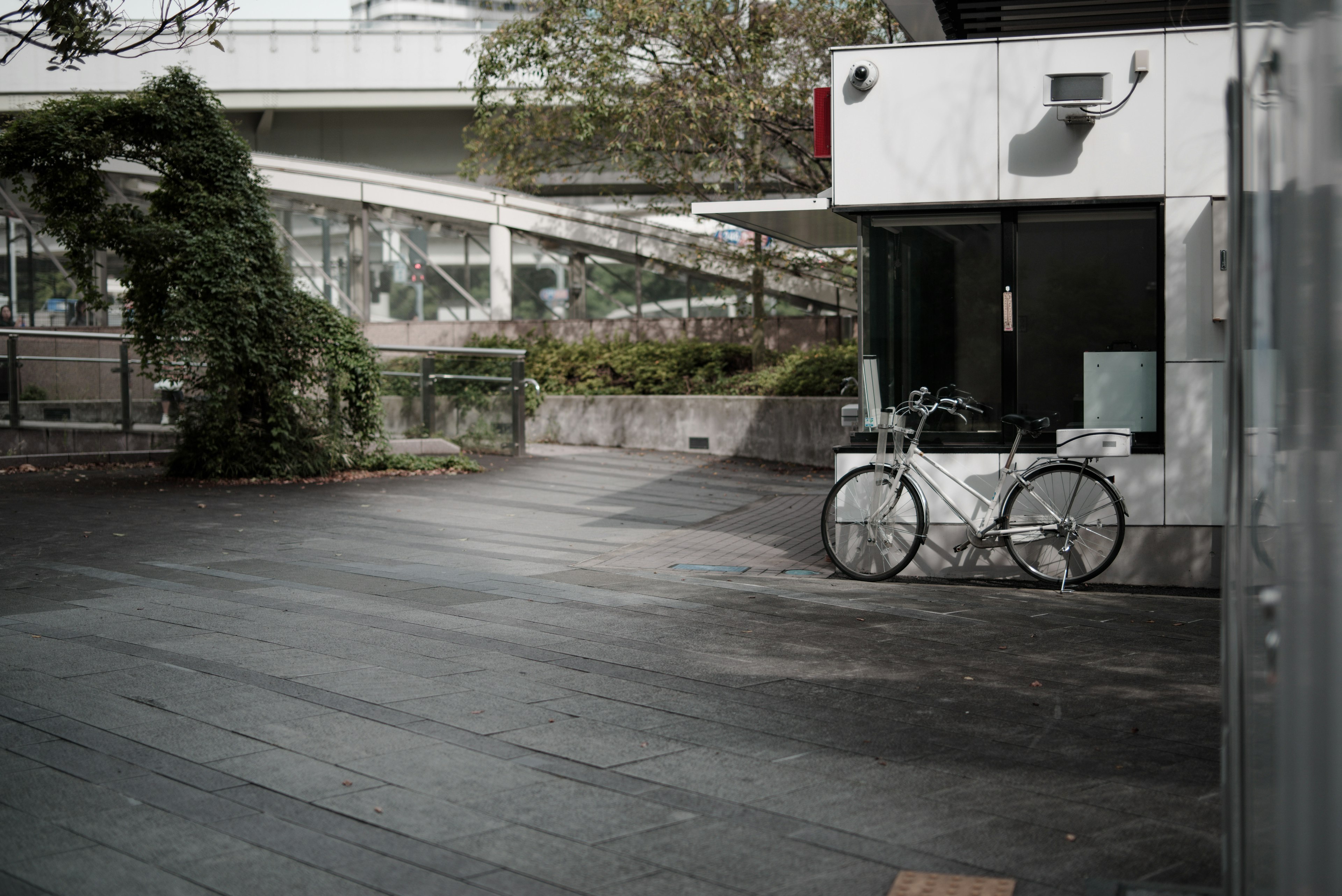 A white bicycle parked at a quiet street corner with greenery