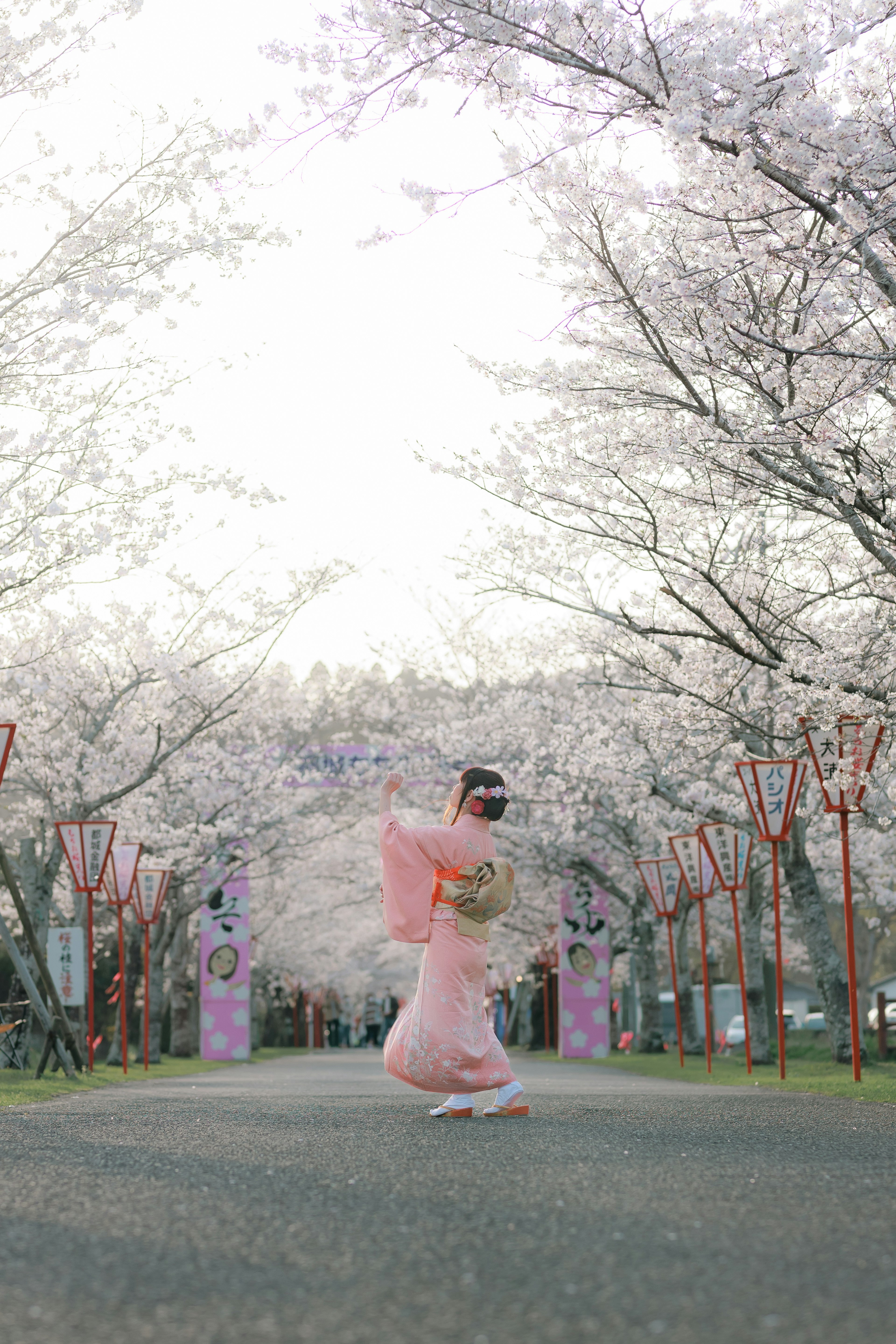 桜の木の下で着物を着た女性が踊っている風景