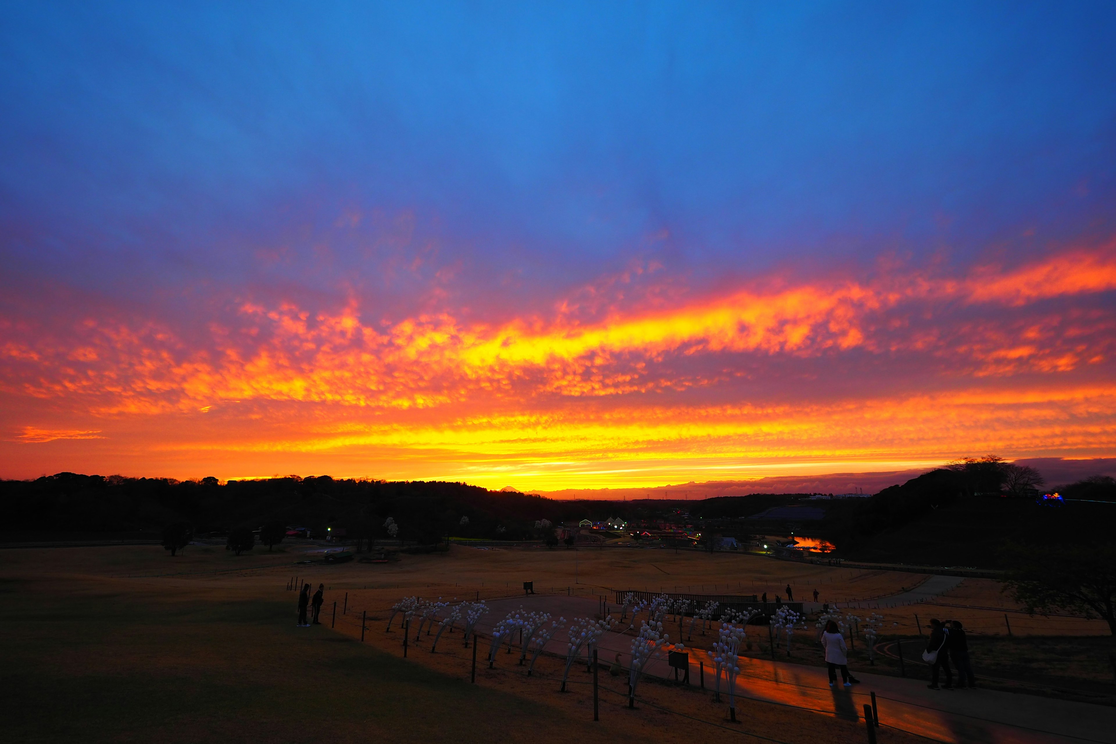 Ciel de coucher de soleil magnifique avec des couleurs vives et l'horizon