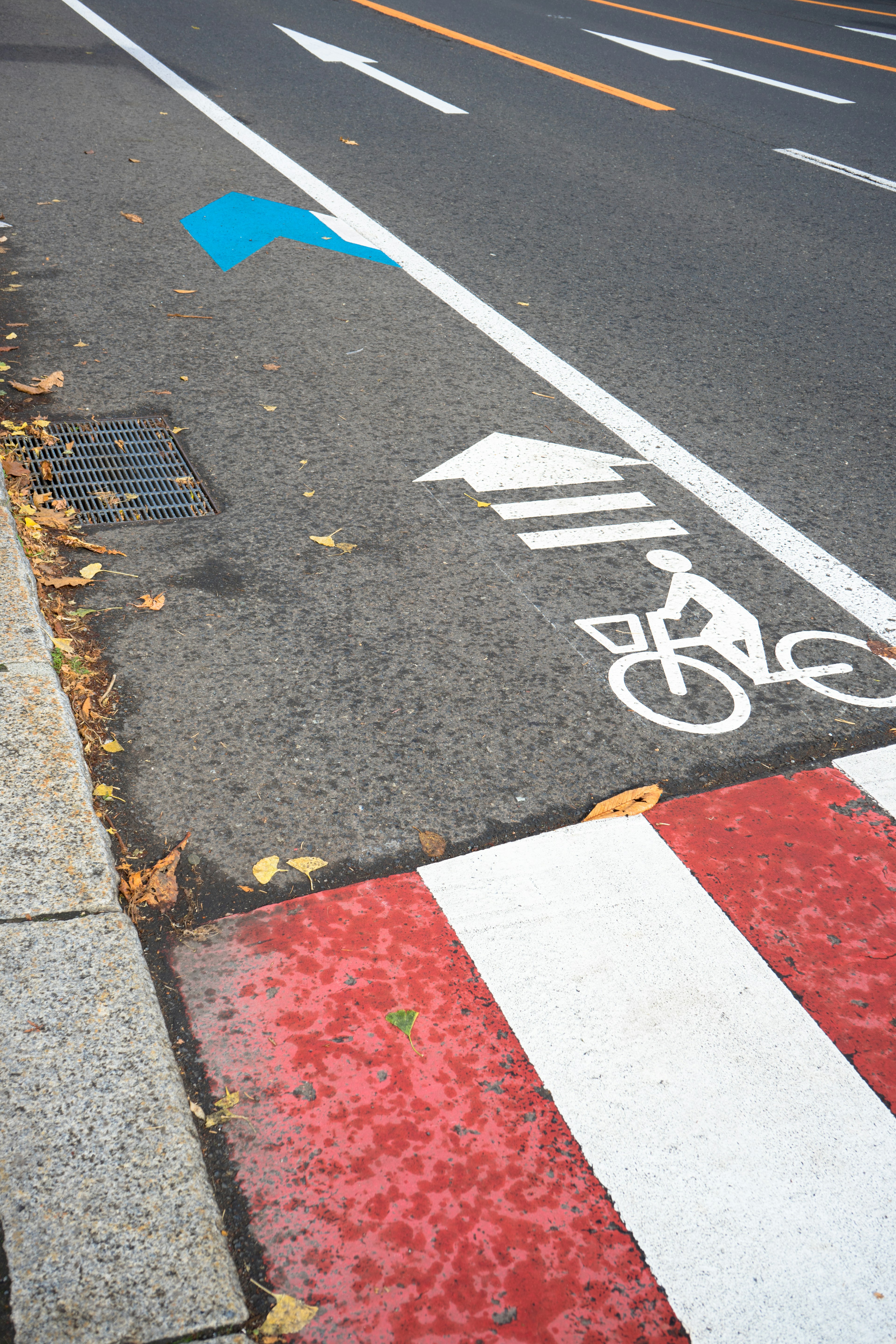 Pista ciclabile con simbolo di bicicletta bianco e attraversamento pedonale rosso