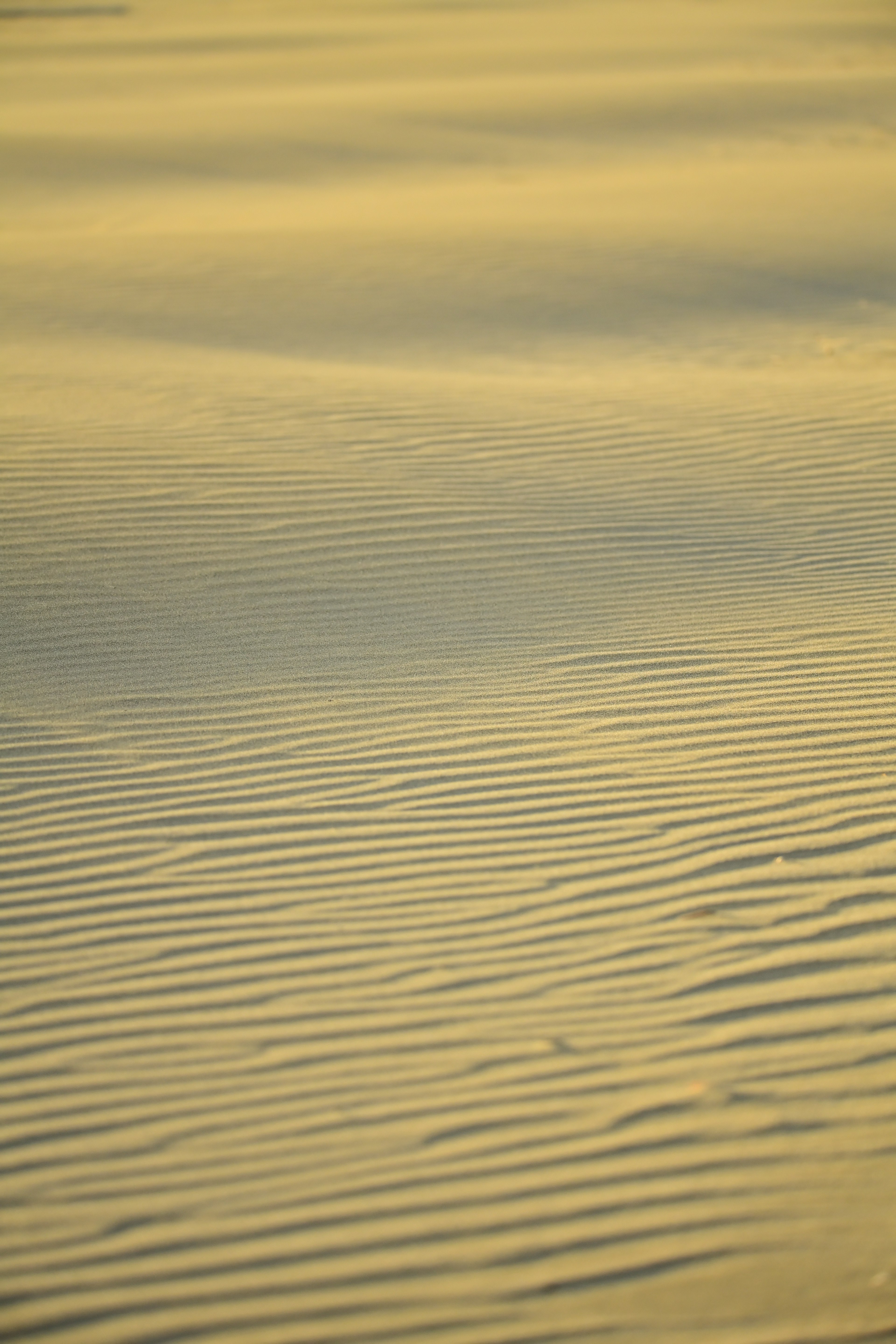 Calm golden water surface with ripples