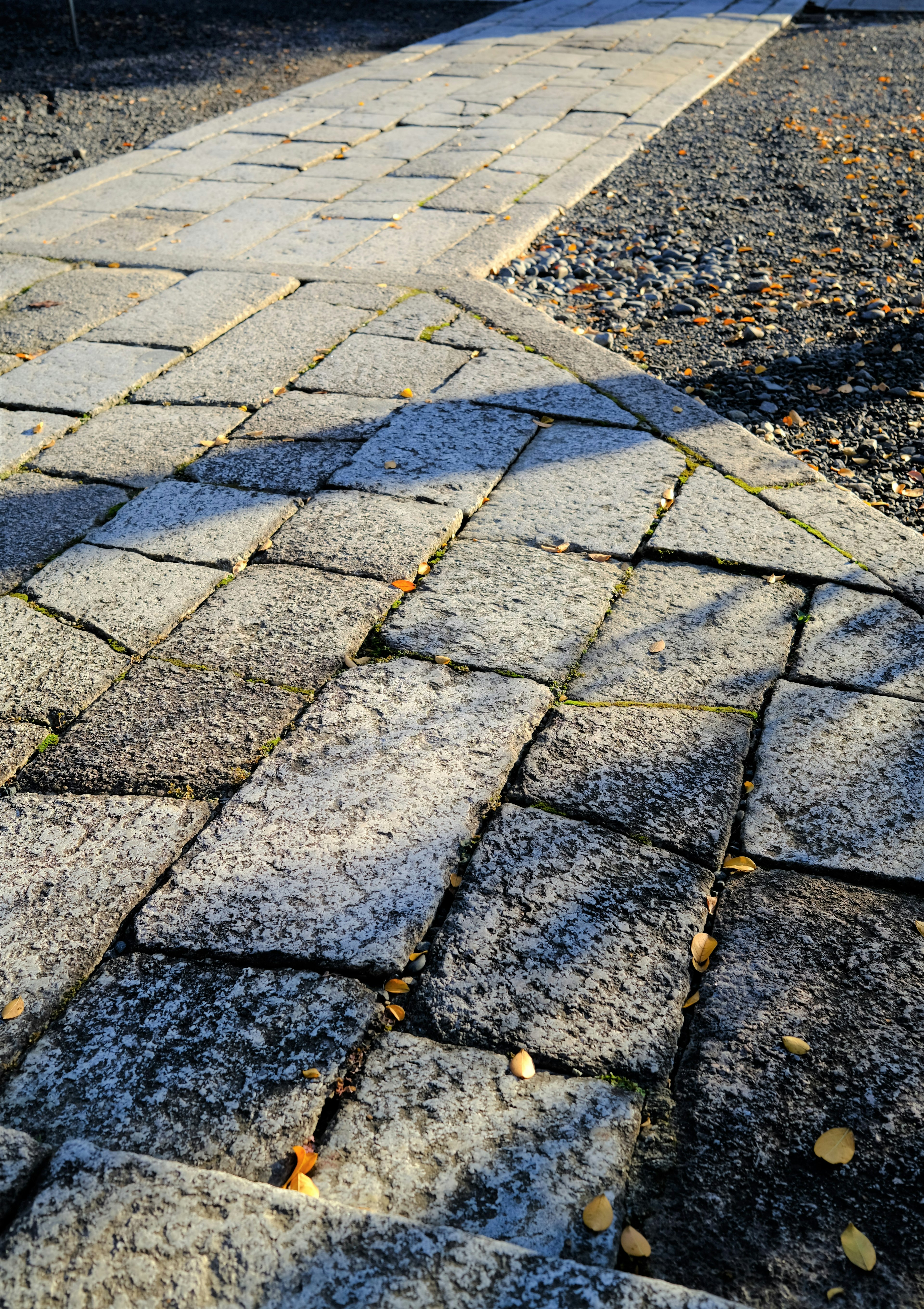 Vue détaillée d'un chemin en pierres pavées avec des ombres