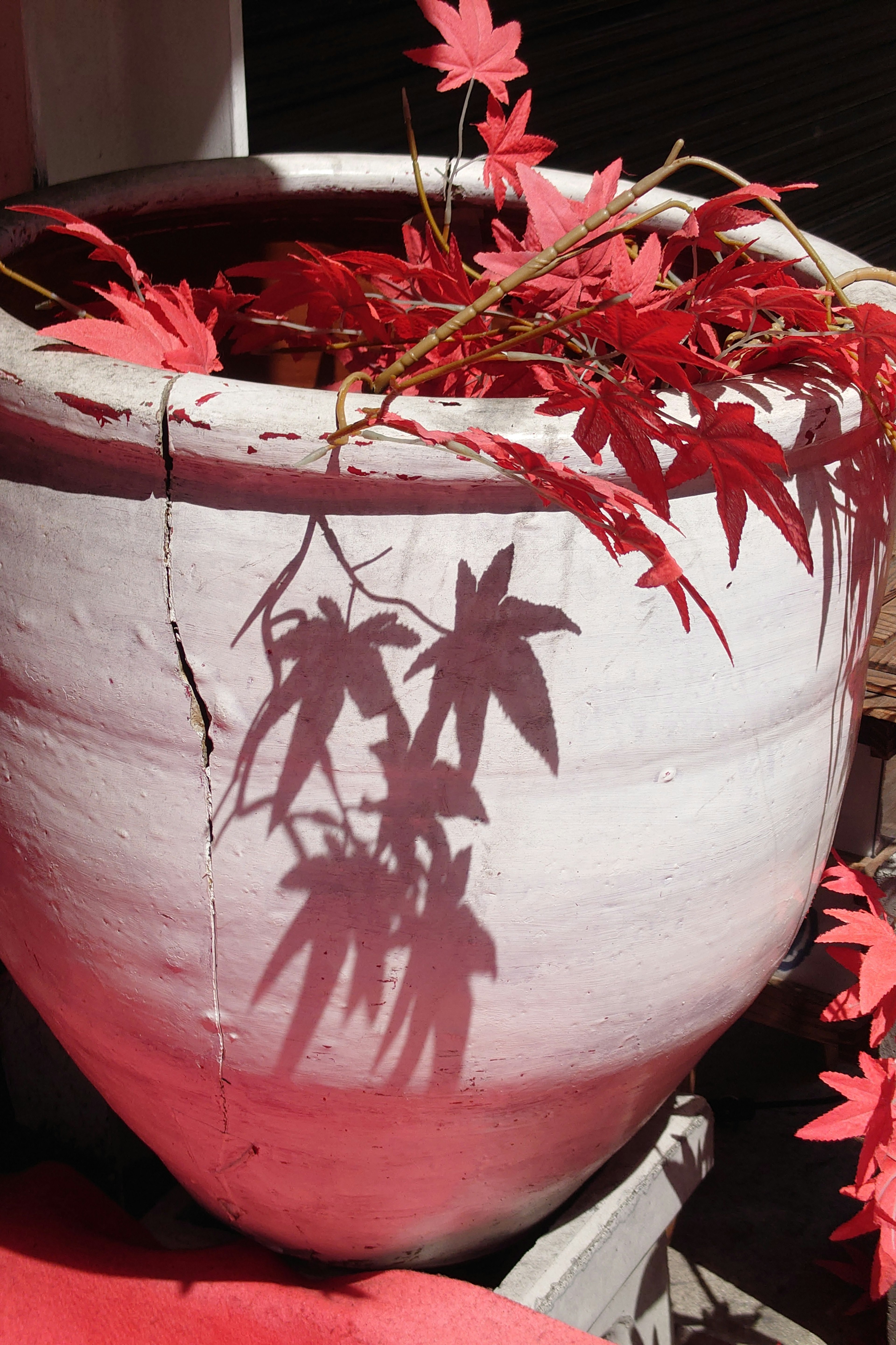 A white pot filled with red leaves casting a shadow