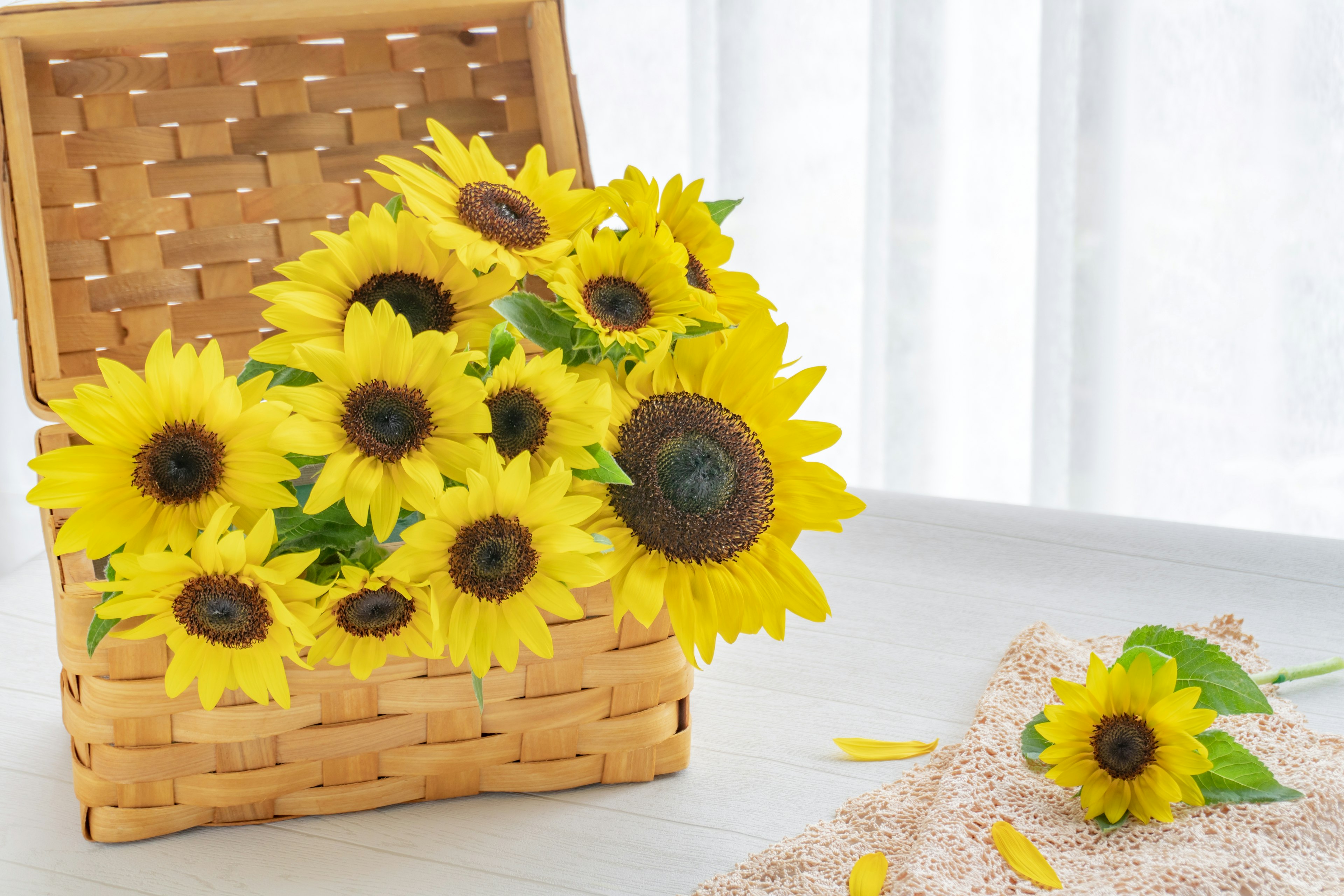 Un vivace bouquet di girasoli in un cesto con un girasole sparso sul tavolo