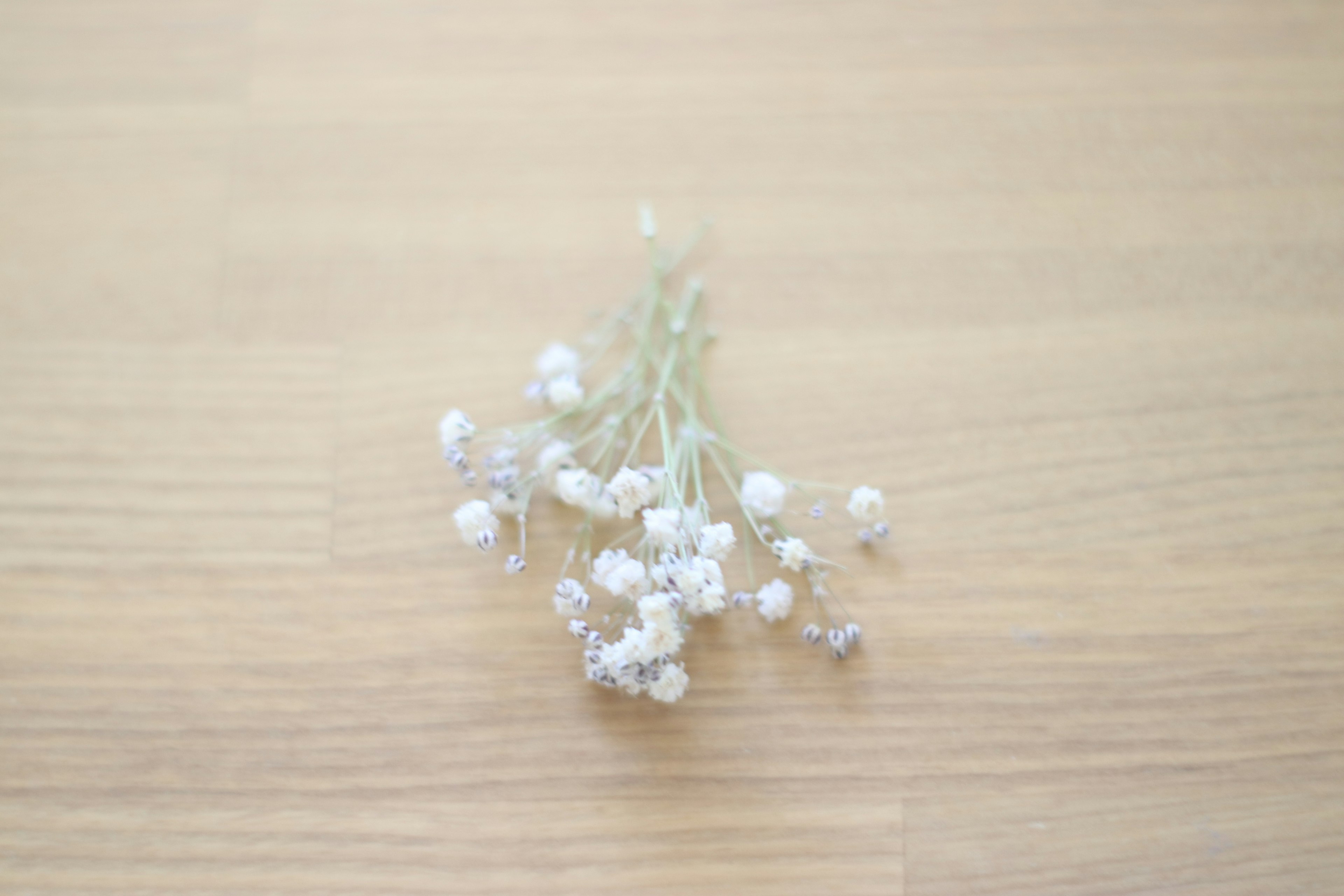 Un ramo de pequeñas flores blancas sobre una mesa de madera