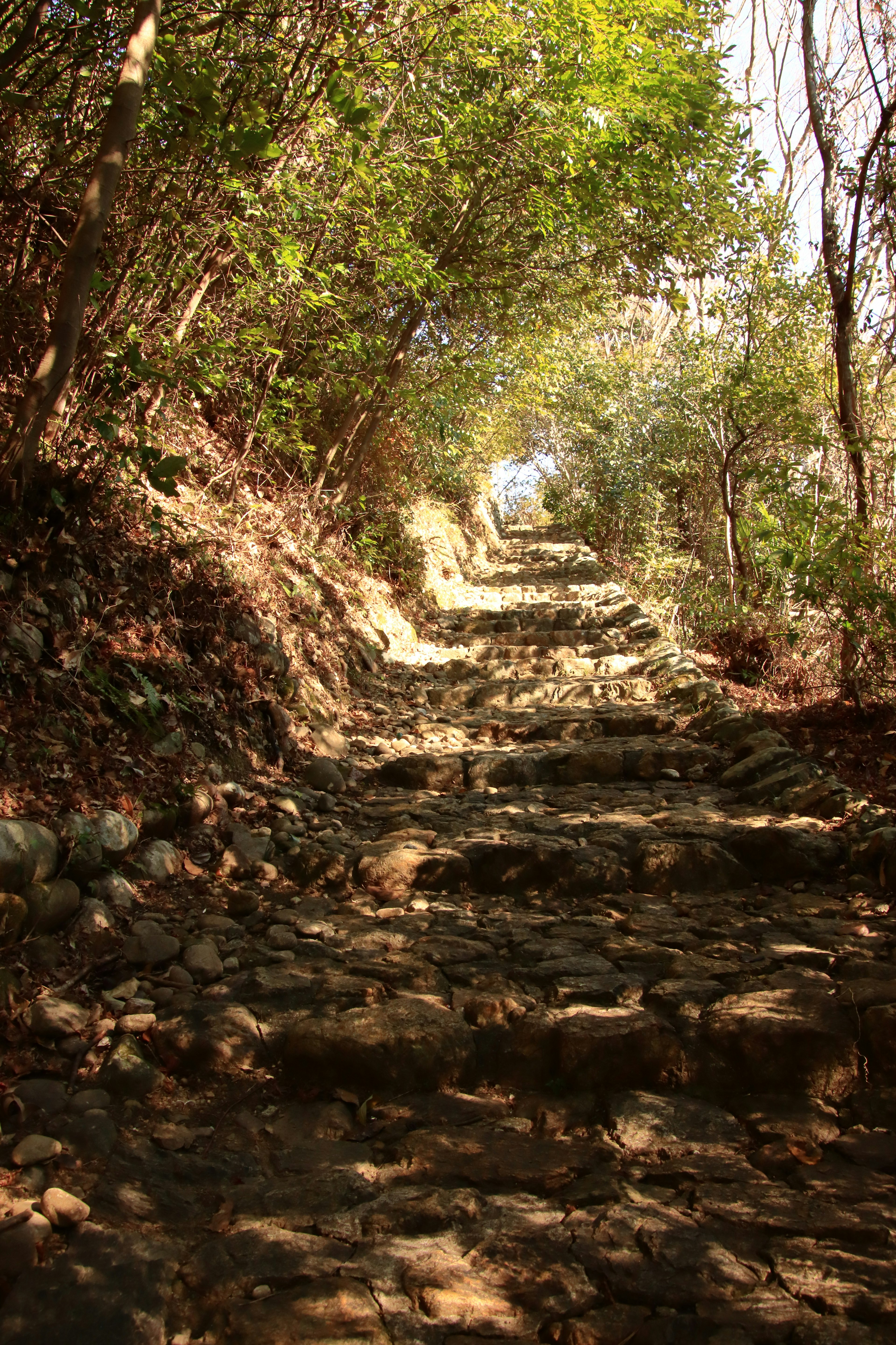 Escaleras de piedra que conducen a un camino verde