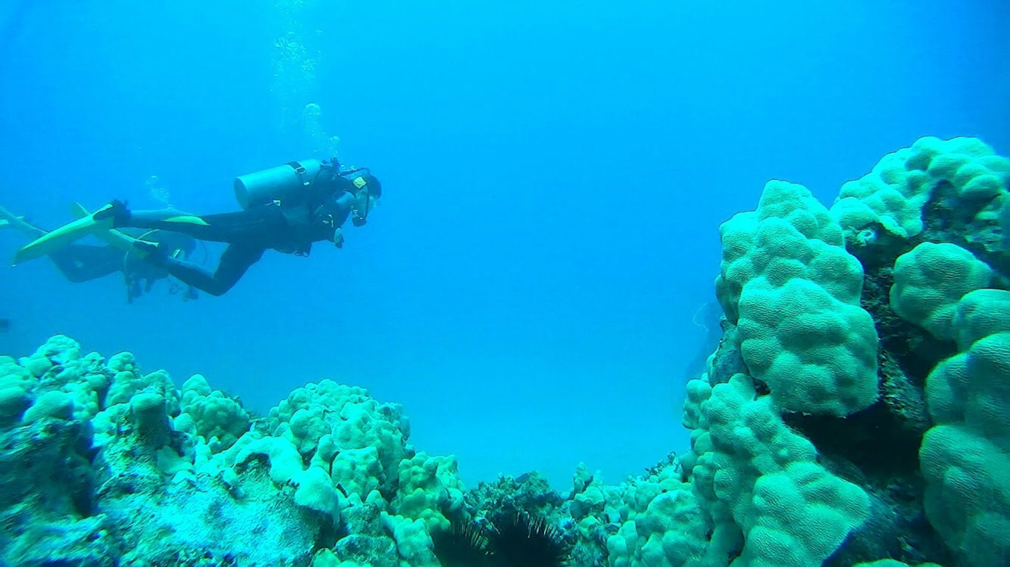 Buceador explorando un arrecife de coral en un océano azul vibrante