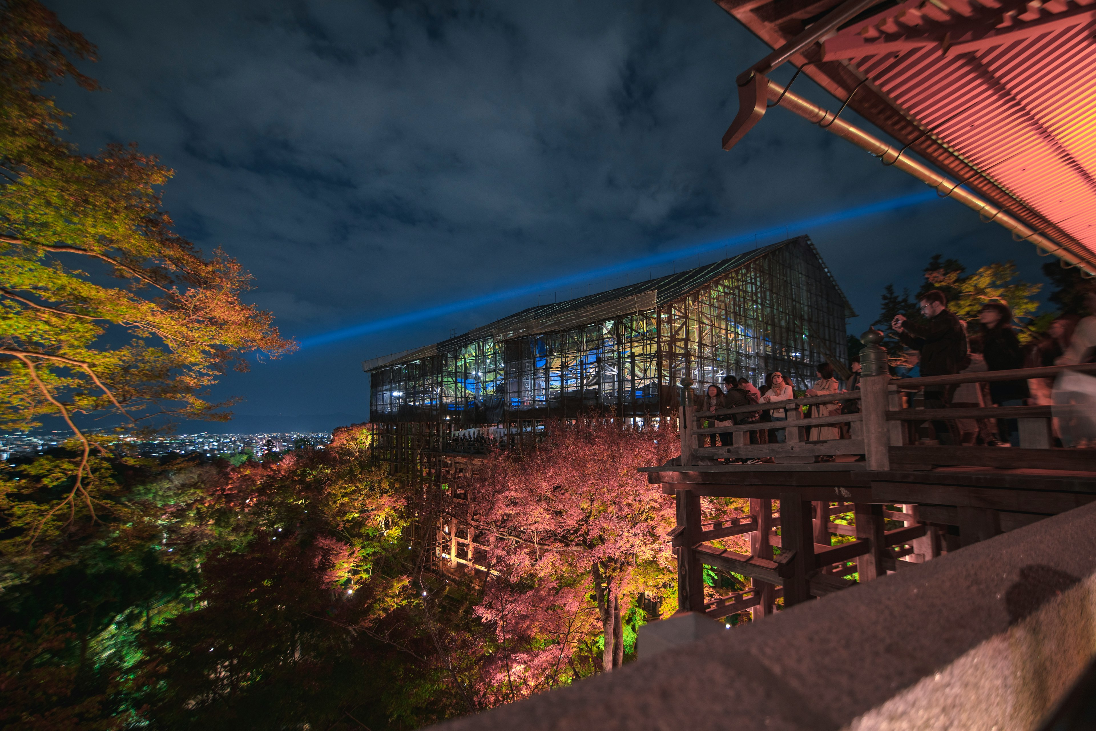 夜の景色の中に照明が当たった建物と紅葉の木々が見える