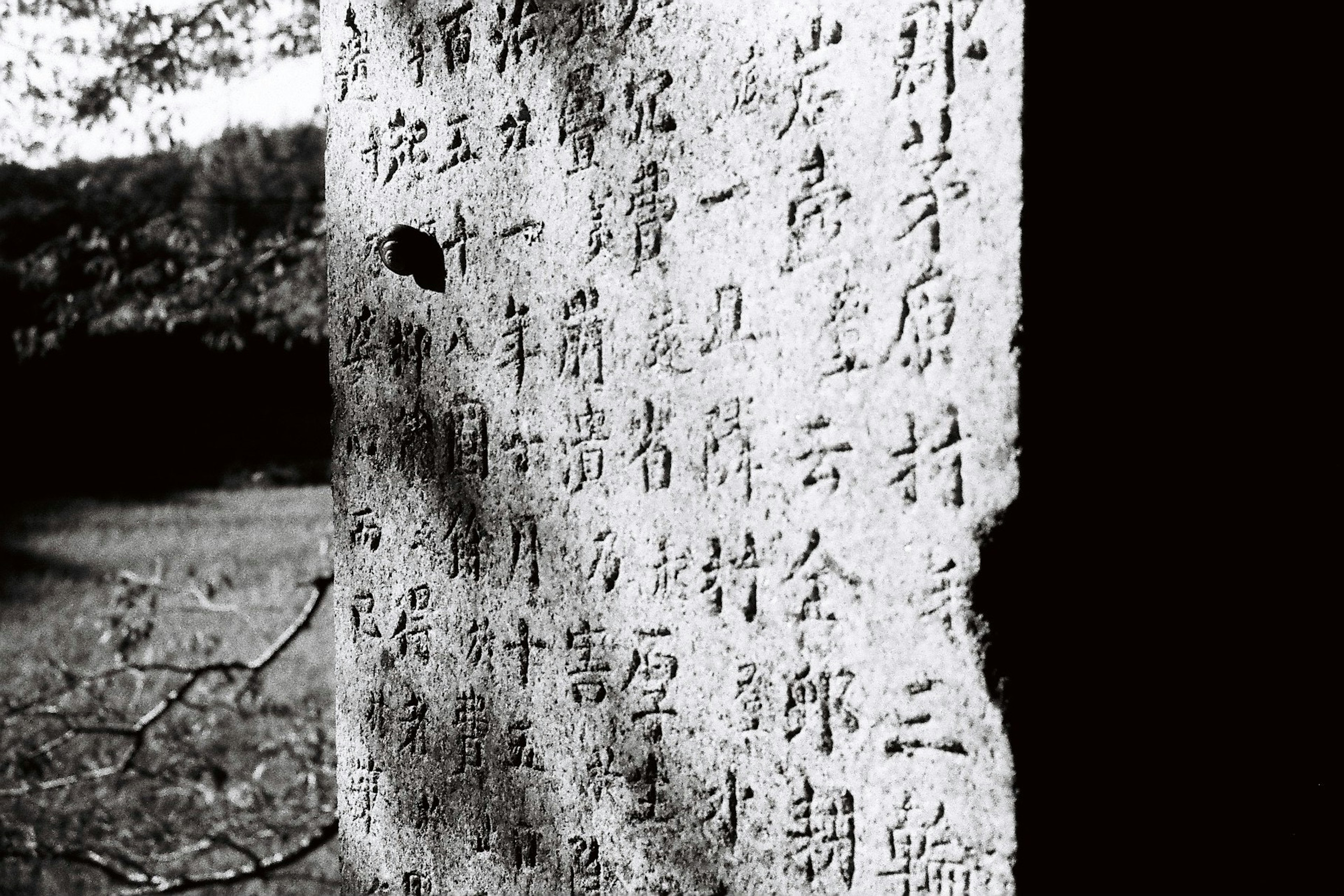 An ancient stone tablet with inscriptions visible