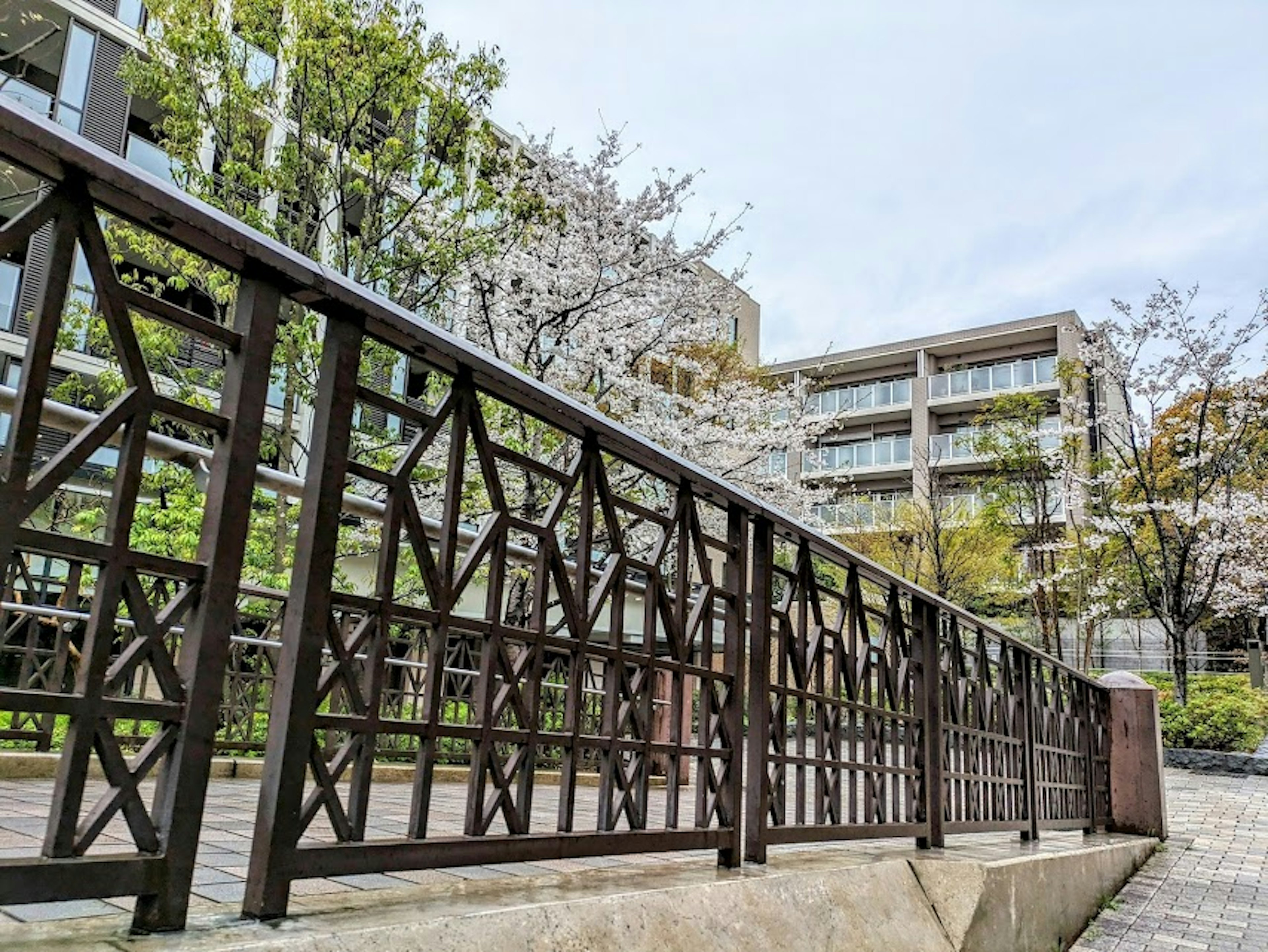 View of a decorative iron fence with cherry blossom trees in the background