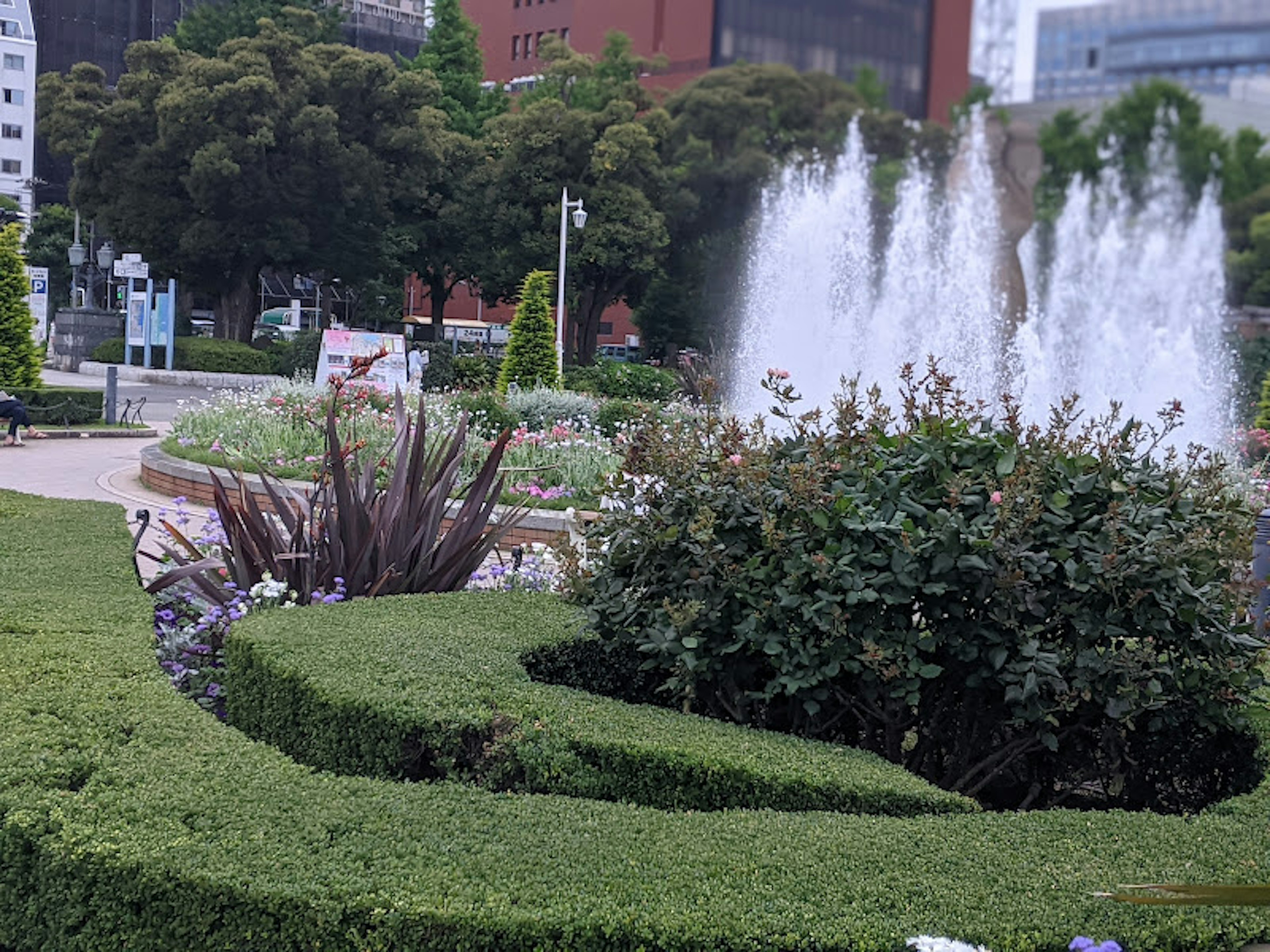 郁郁蔥蔥的公園景觀與顯眼的噴泉