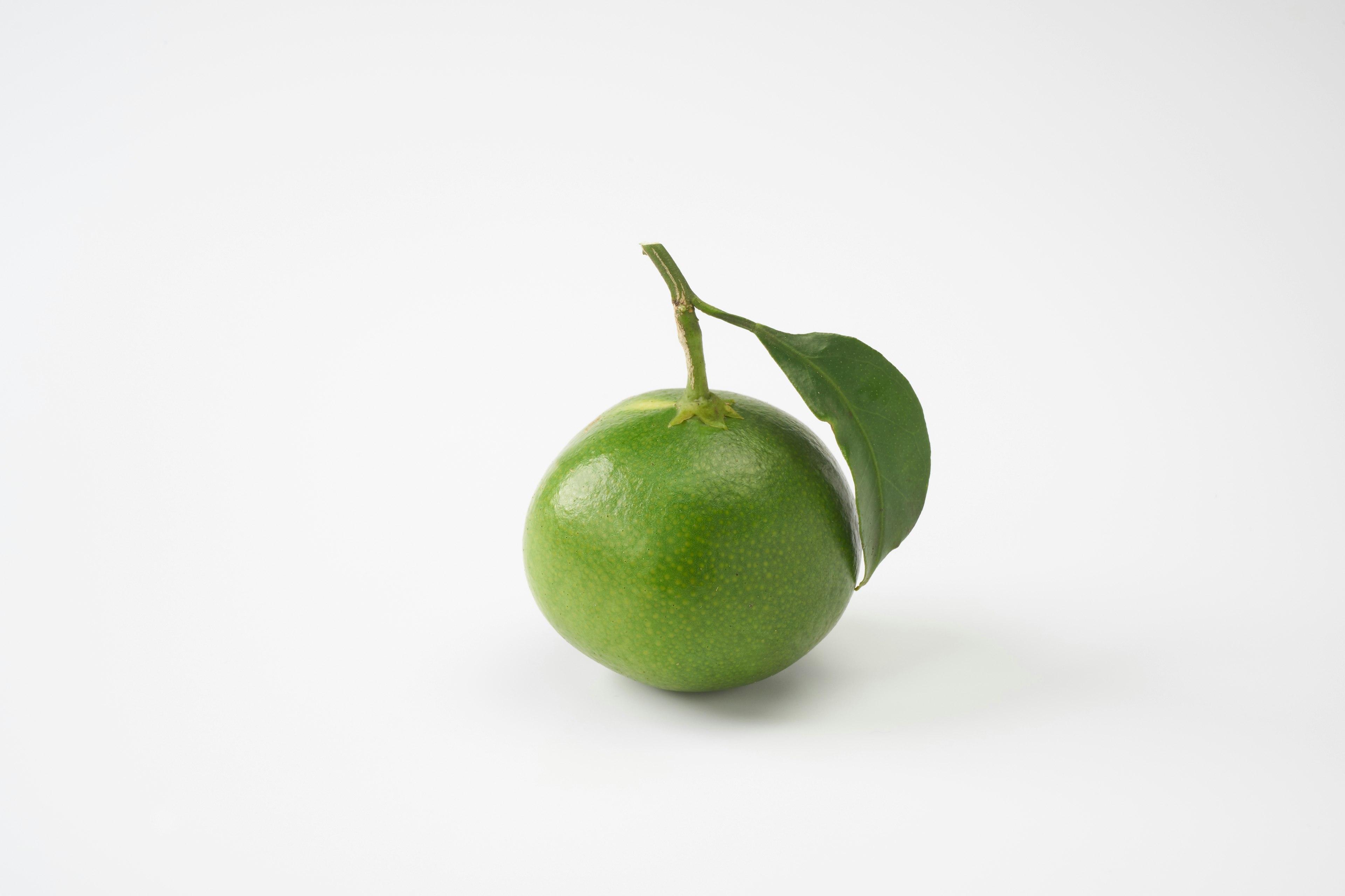 Eine grüne Frucht mit einem Blatt auf weißem Hintergrund