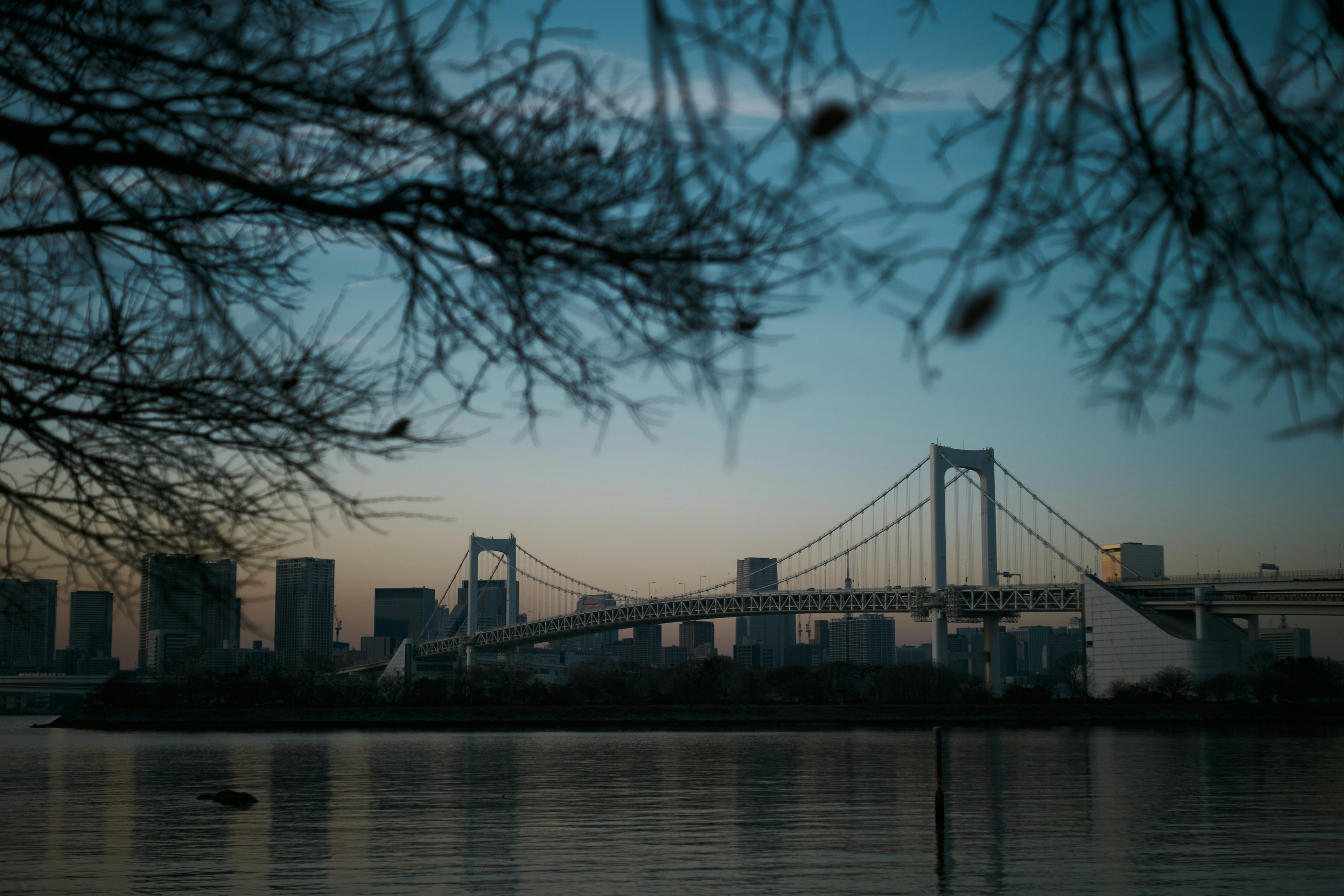 夕暮れ時のレインボーブリッジと東京の高層ビル群のシルエット