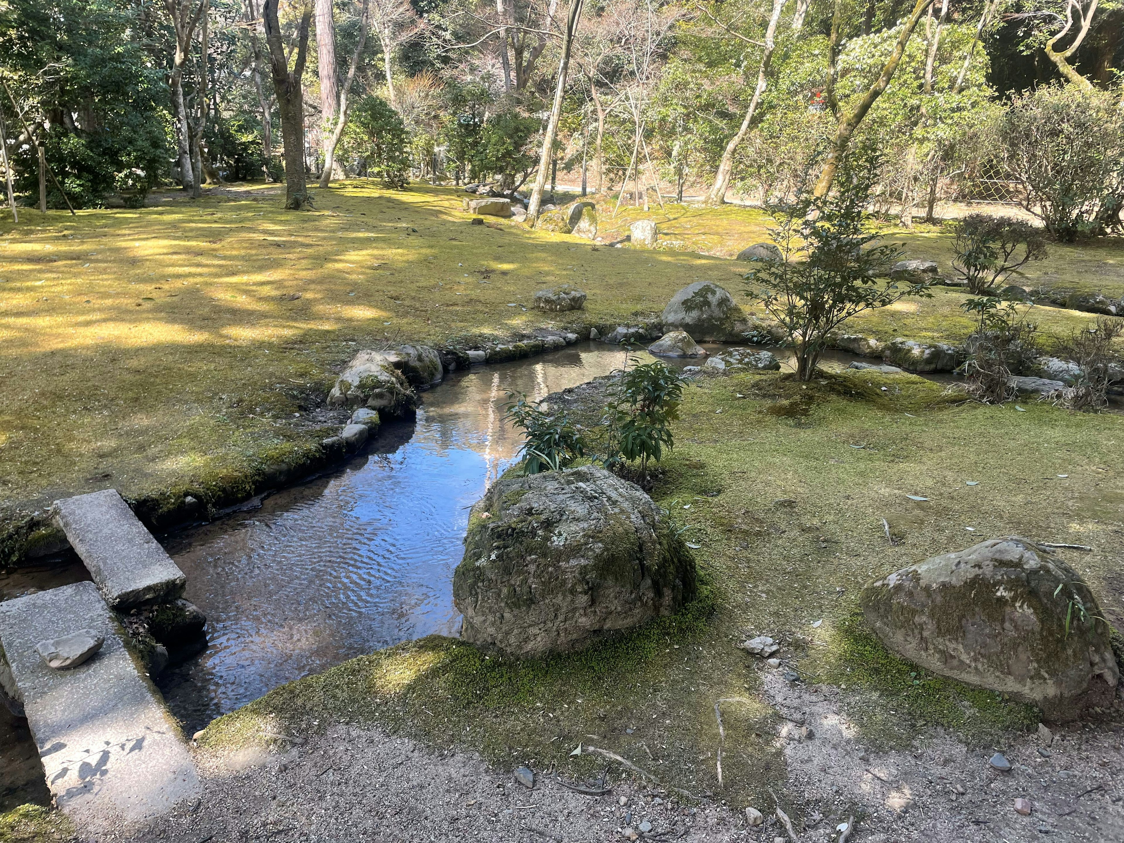 Ruhiger Gartenweg mit fließendem Wasser großen Steinen und moosigem Boden