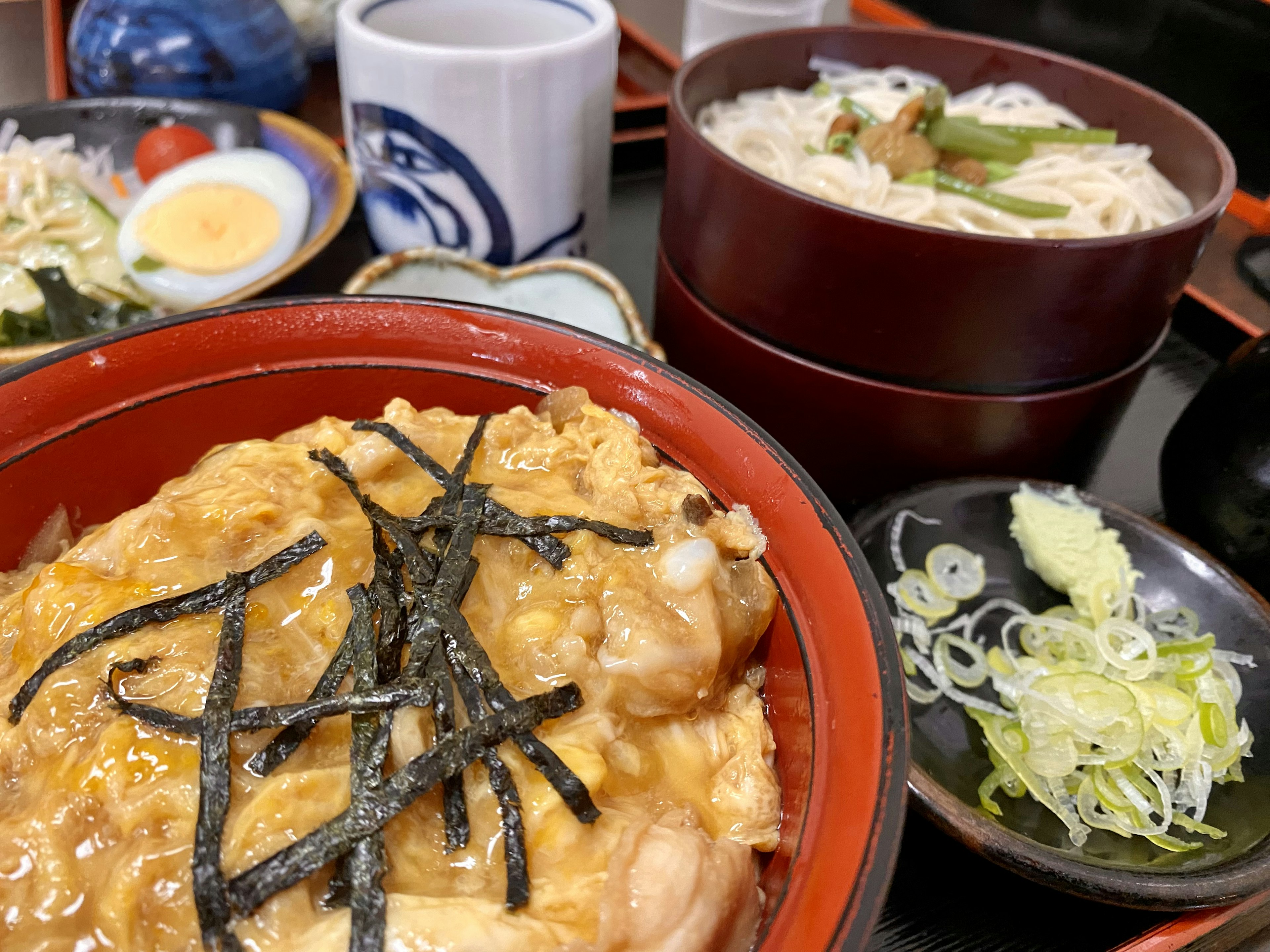 Bol de riz japonais avec poulet et œuf garni d'algues