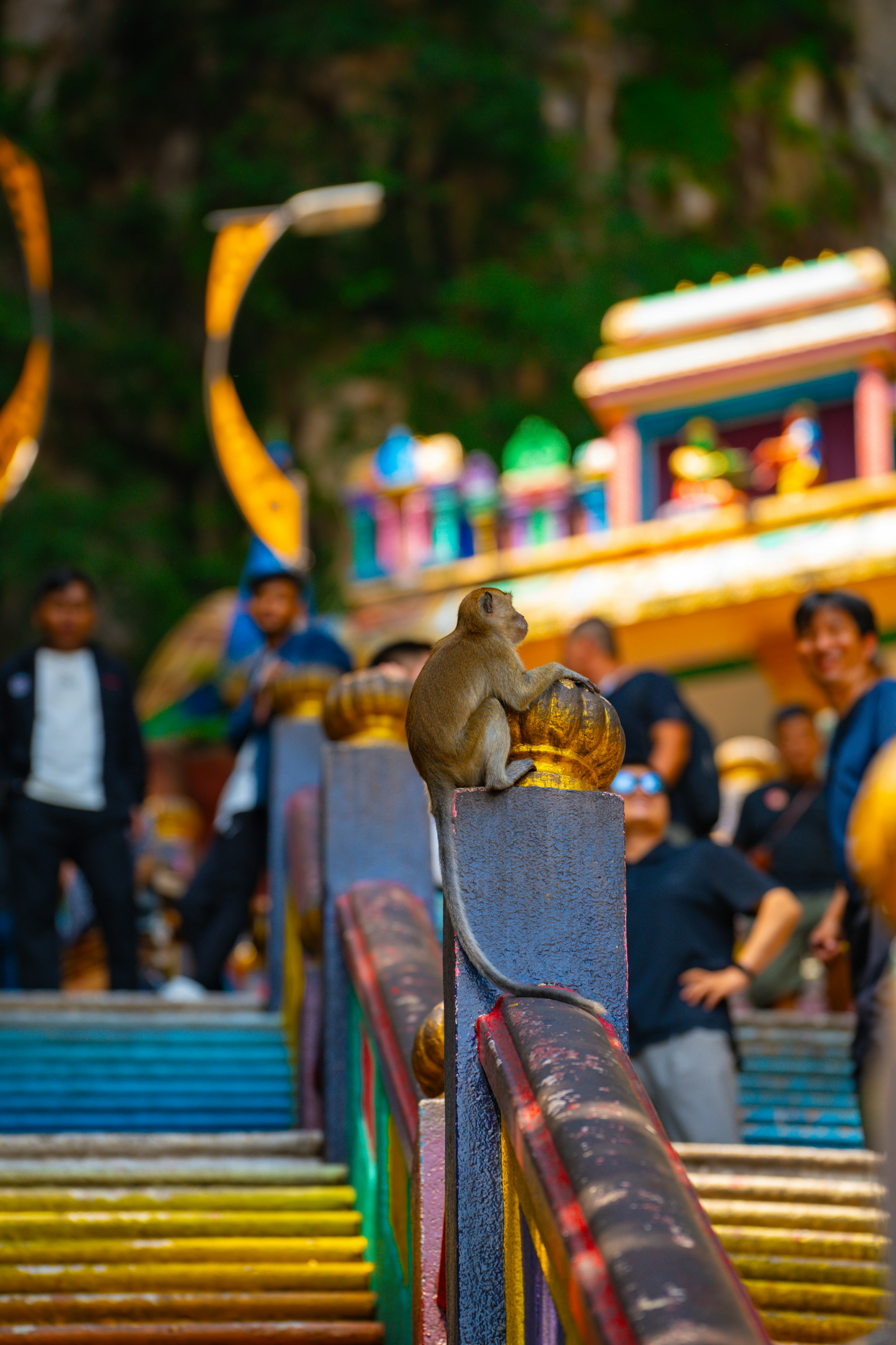 Affe sitzt auf bunten Treppen in den Batu-Höhlen mit Touristen im Hintergrund