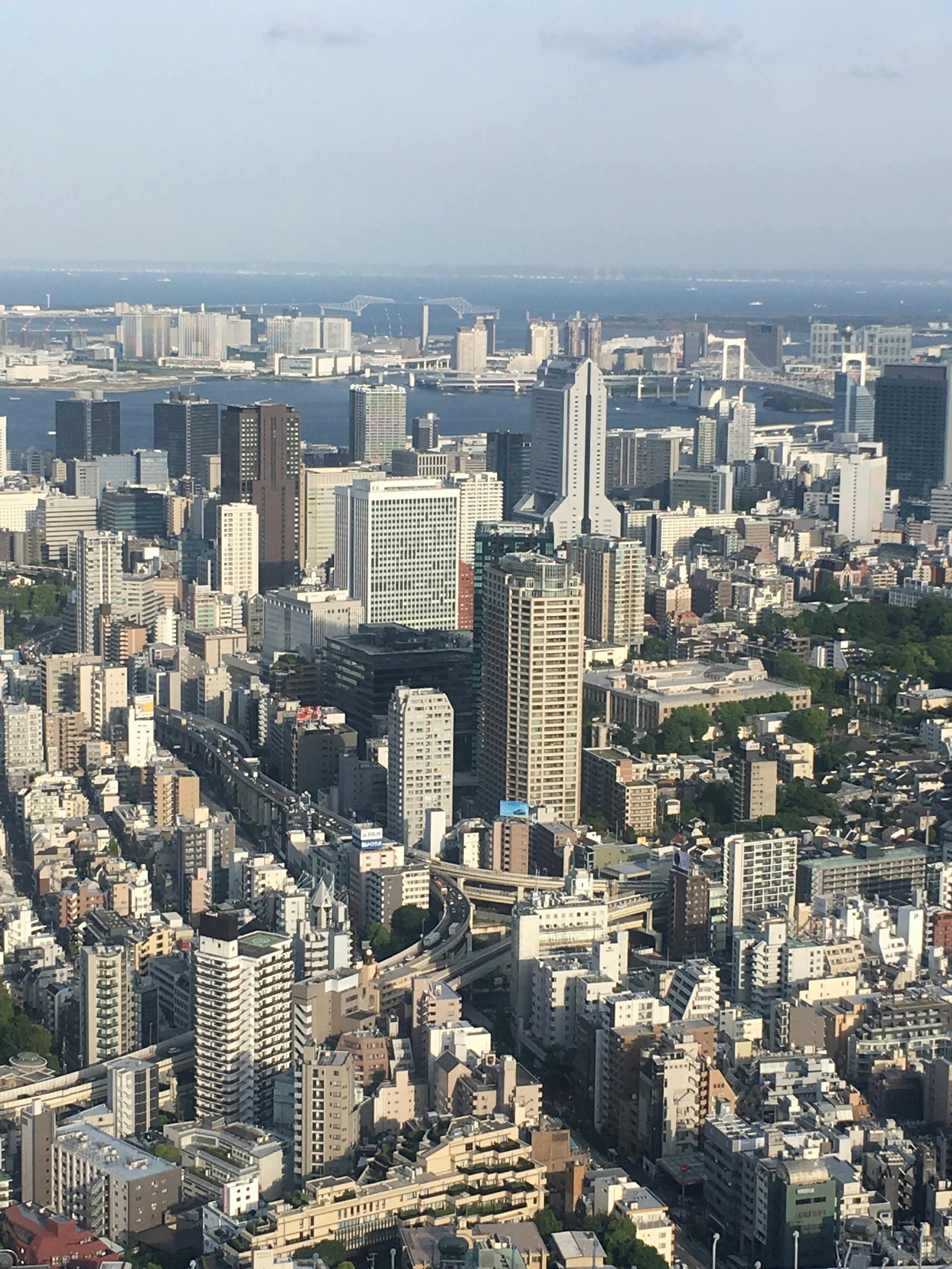 Vista aérea del horizonte de Tokio con rascacielos modernos