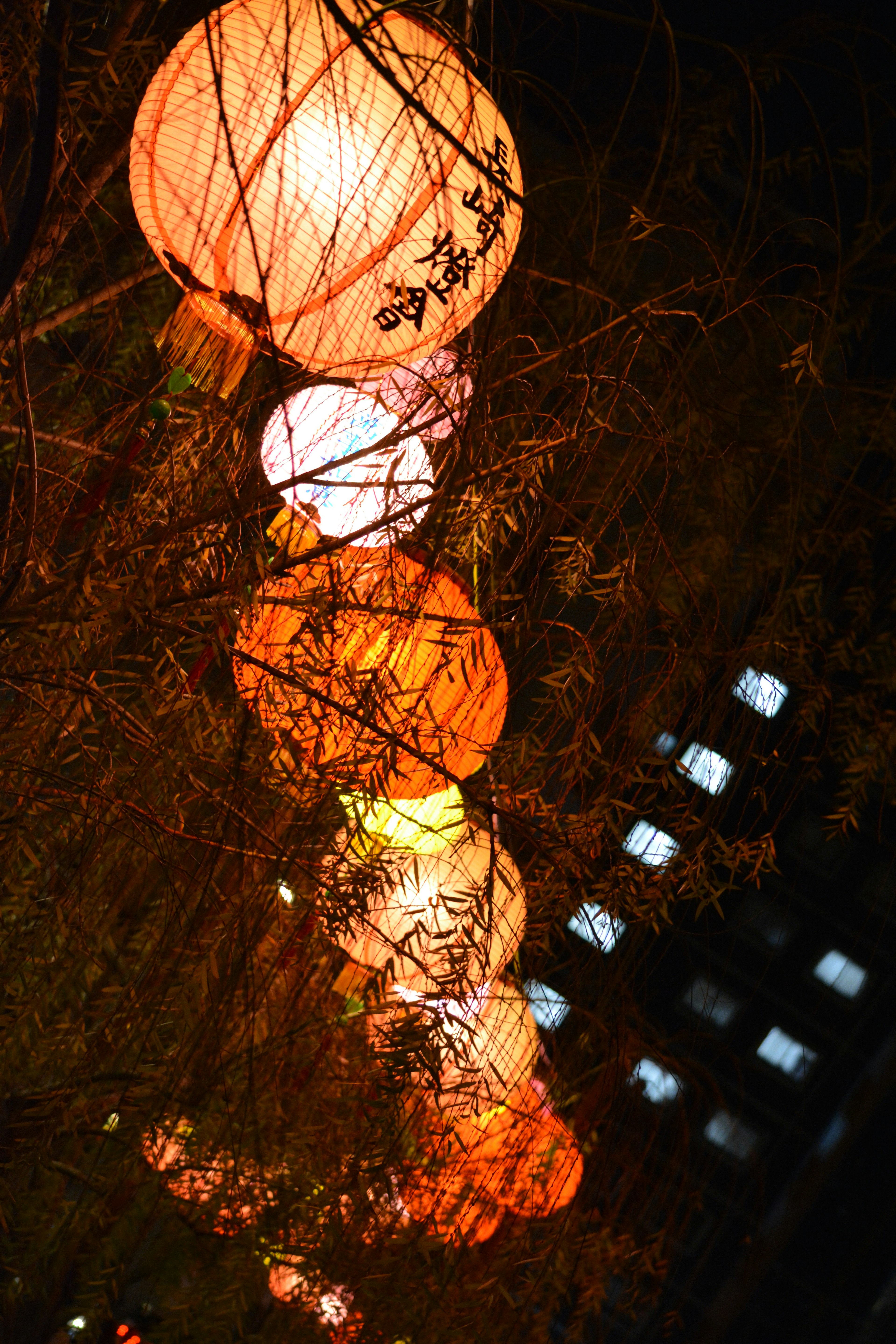 Colorful lanterns glowing in the night sky