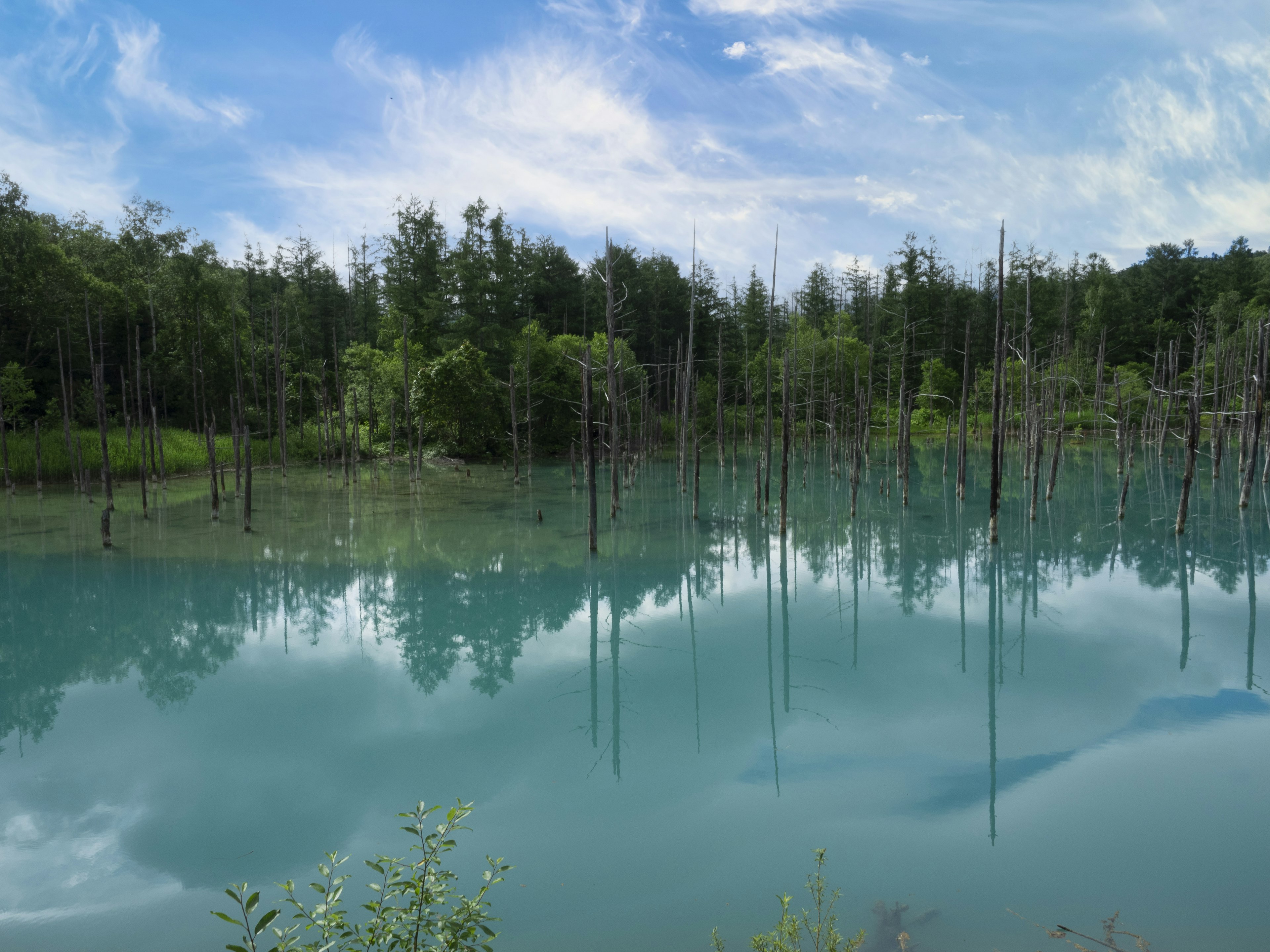 Reflejo de árboles en un lago turquesa en un entorno natural sereno