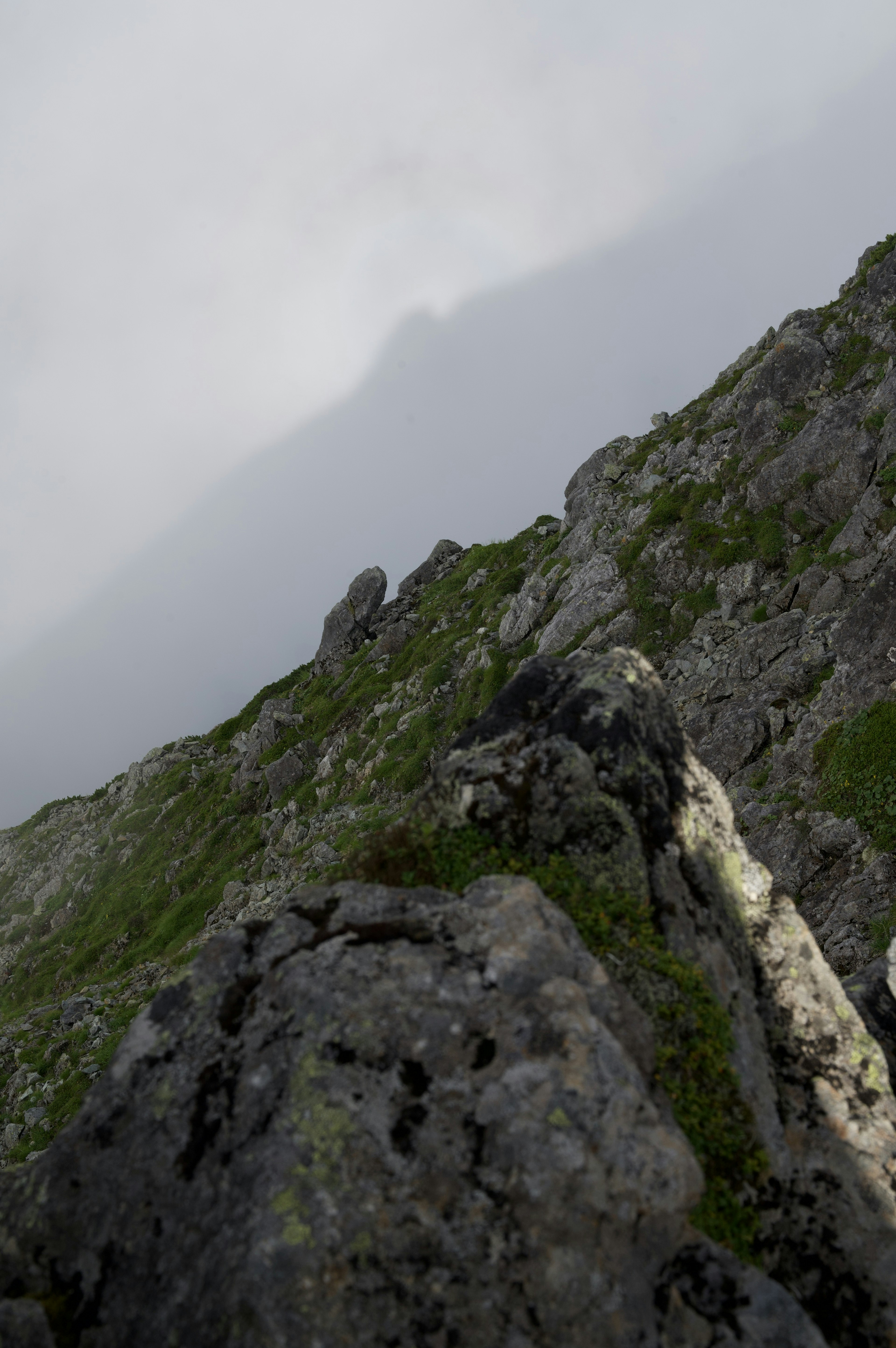 Pendio di montagna nebbioso con terreno roccioso e vegetazione