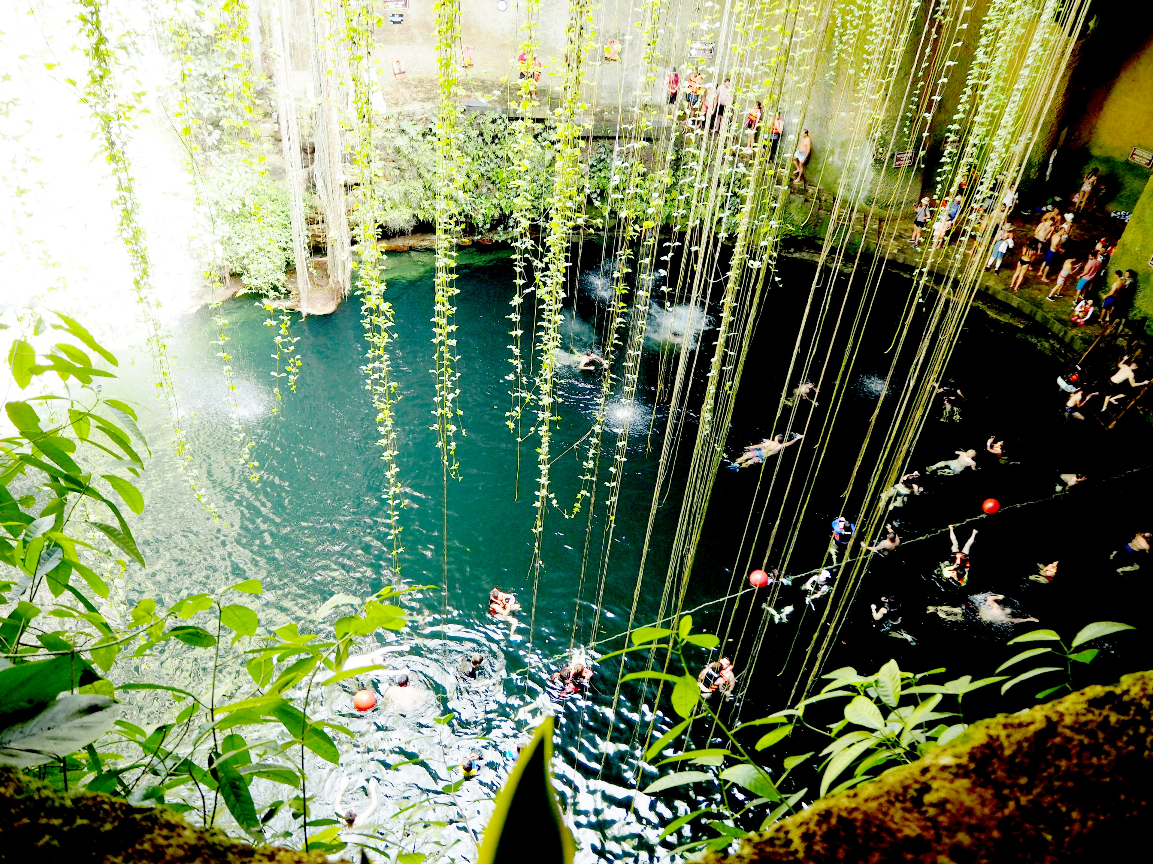 Beautiful waterside scene with hanging green plants and people enjoying in the water