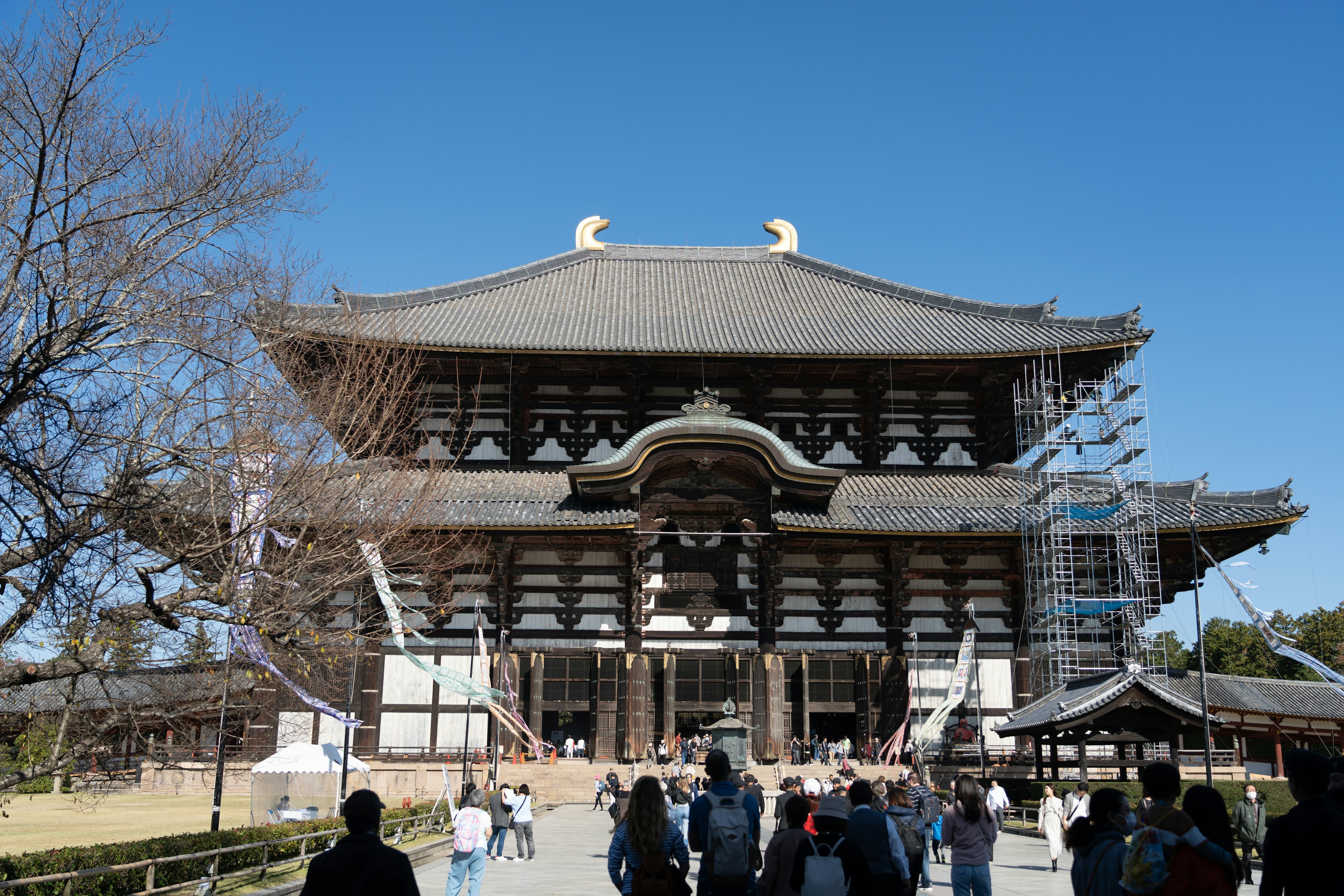 Temple Todai-ji en rénovation avec des visiteurs