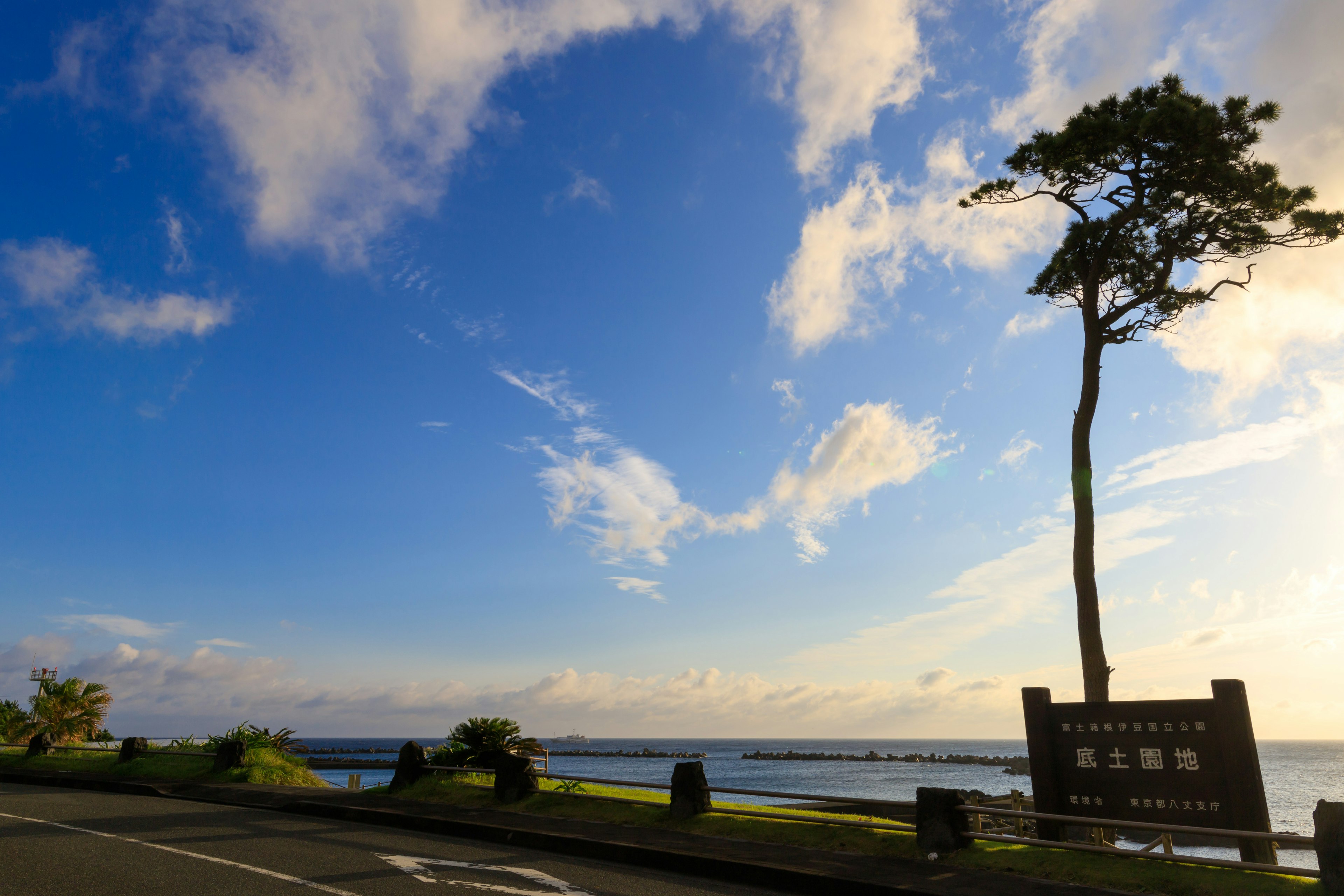 Paesaggio con un albero e un cartello contro un cielo blu e l'oceano