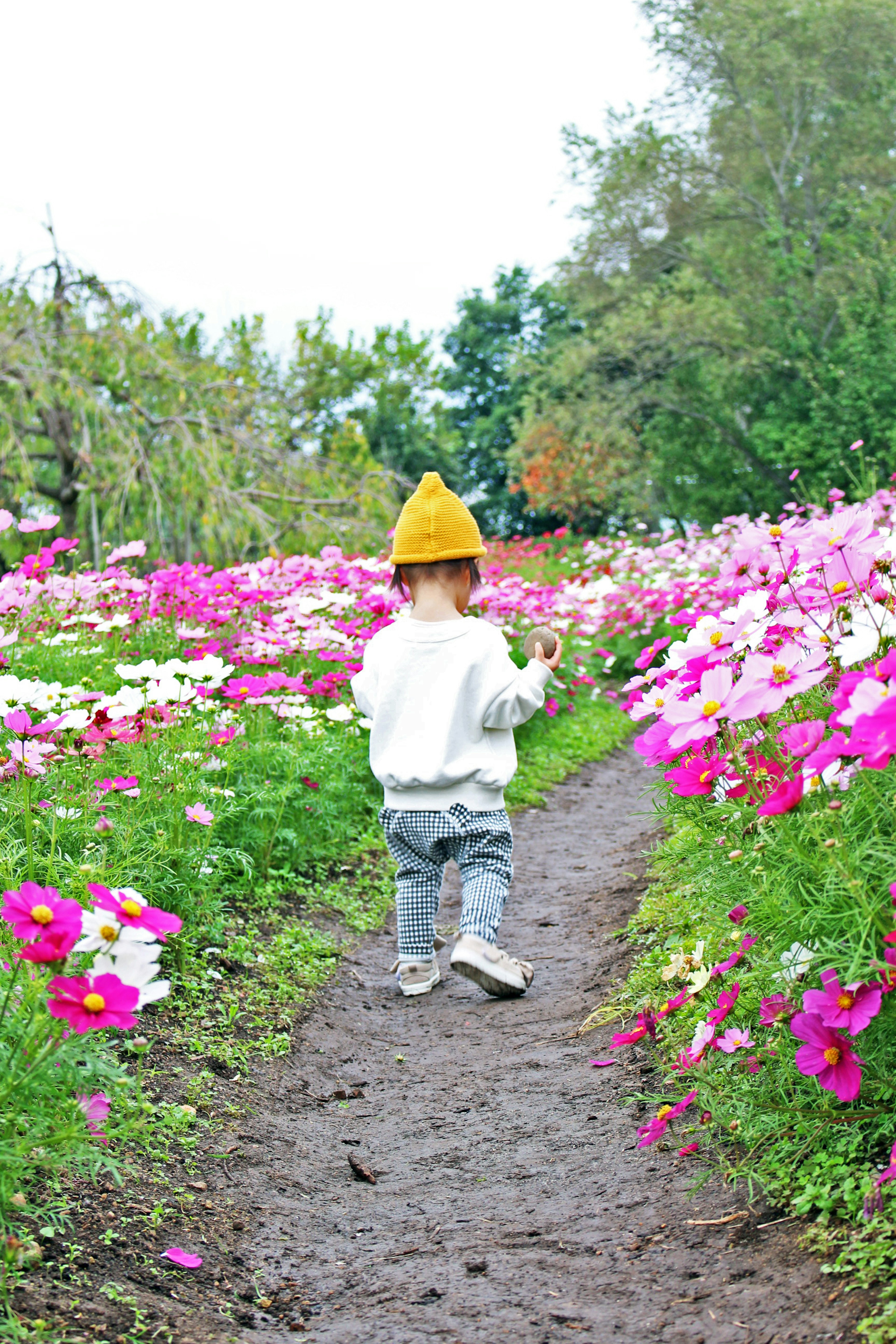 Un bambino che cammina lungo un sentiero in un campo di fiori indossando un cappello giallo un maglione bianco e jeans