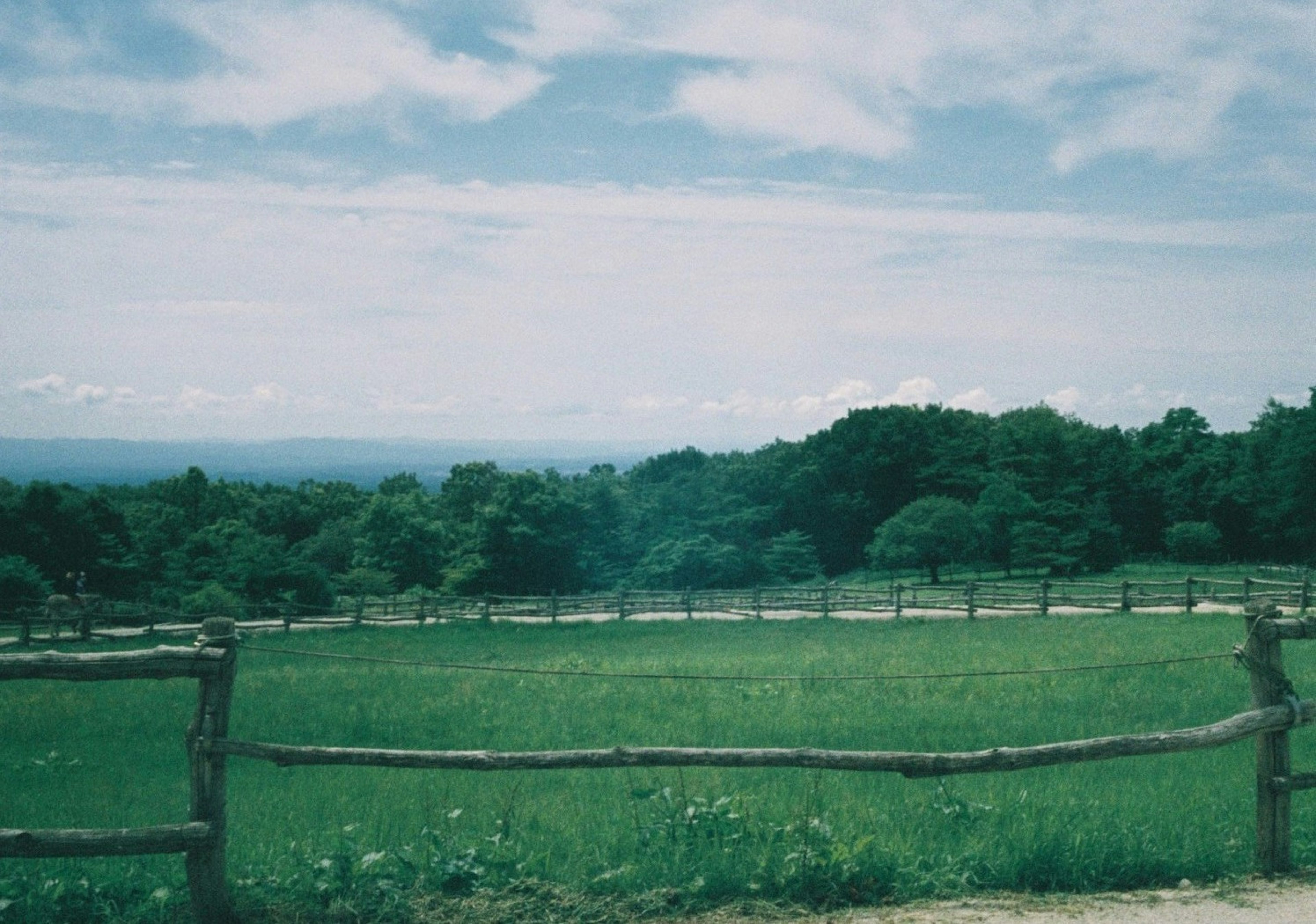 藍天和綠色草原的風景