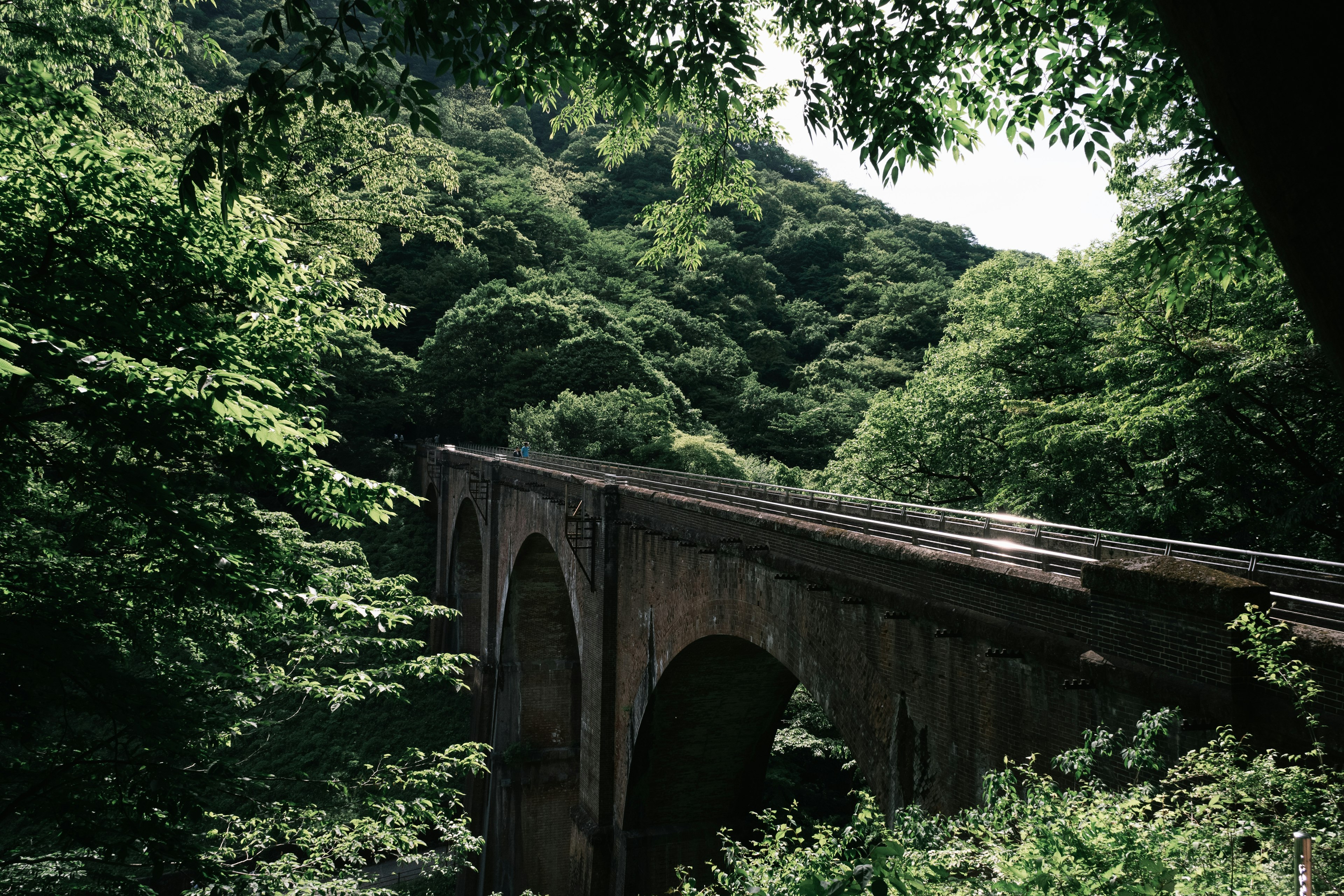 Vieux pont en arc dans une forêt verdoyante