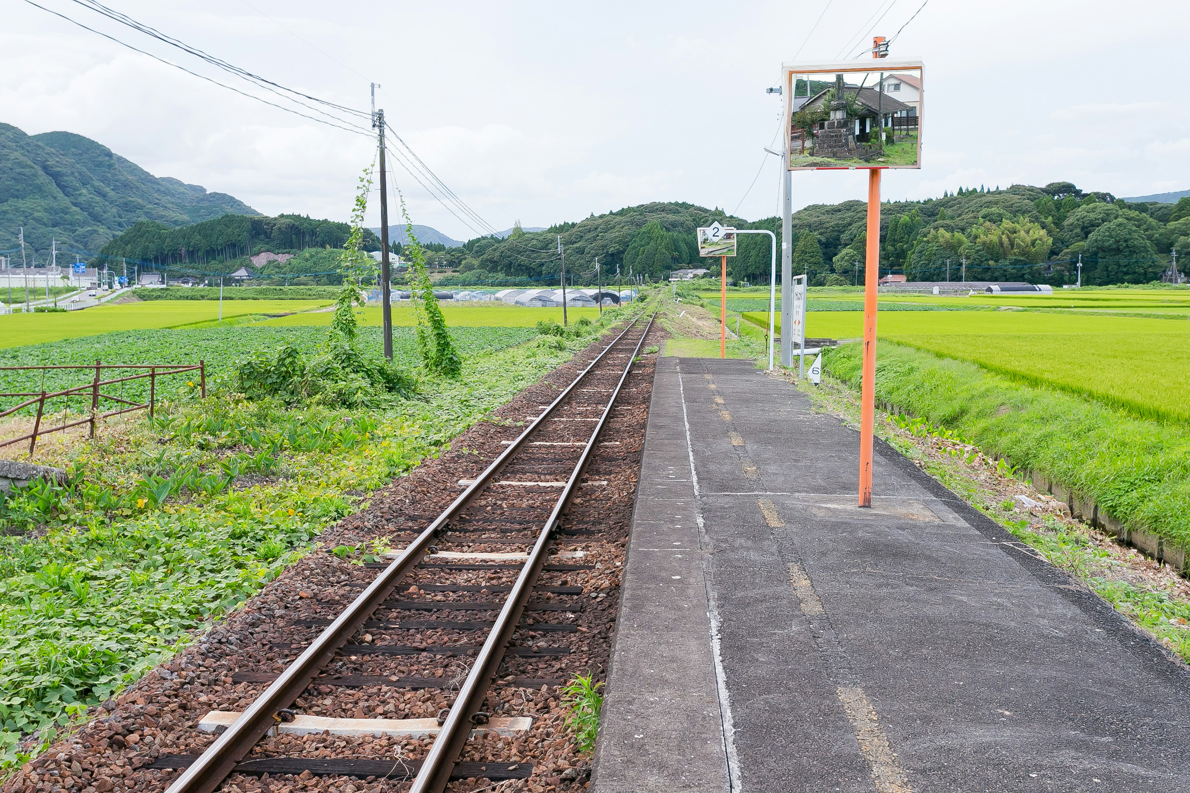 Malersicher Blick auf die Gleise und den Bahnsteig umgeben von Reisfeldern