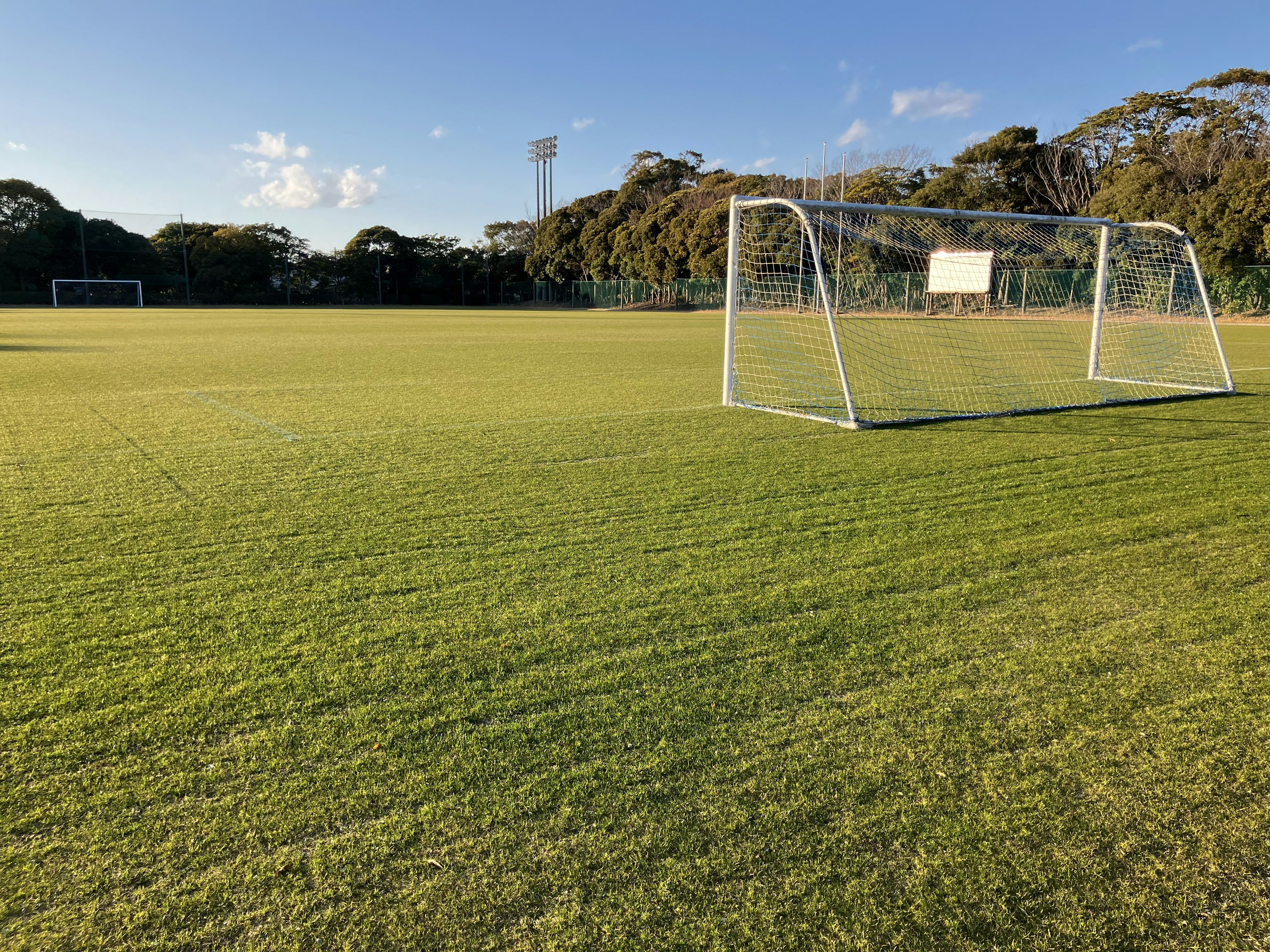 Fußballfeld mit Tor und üppigem grünem Gras