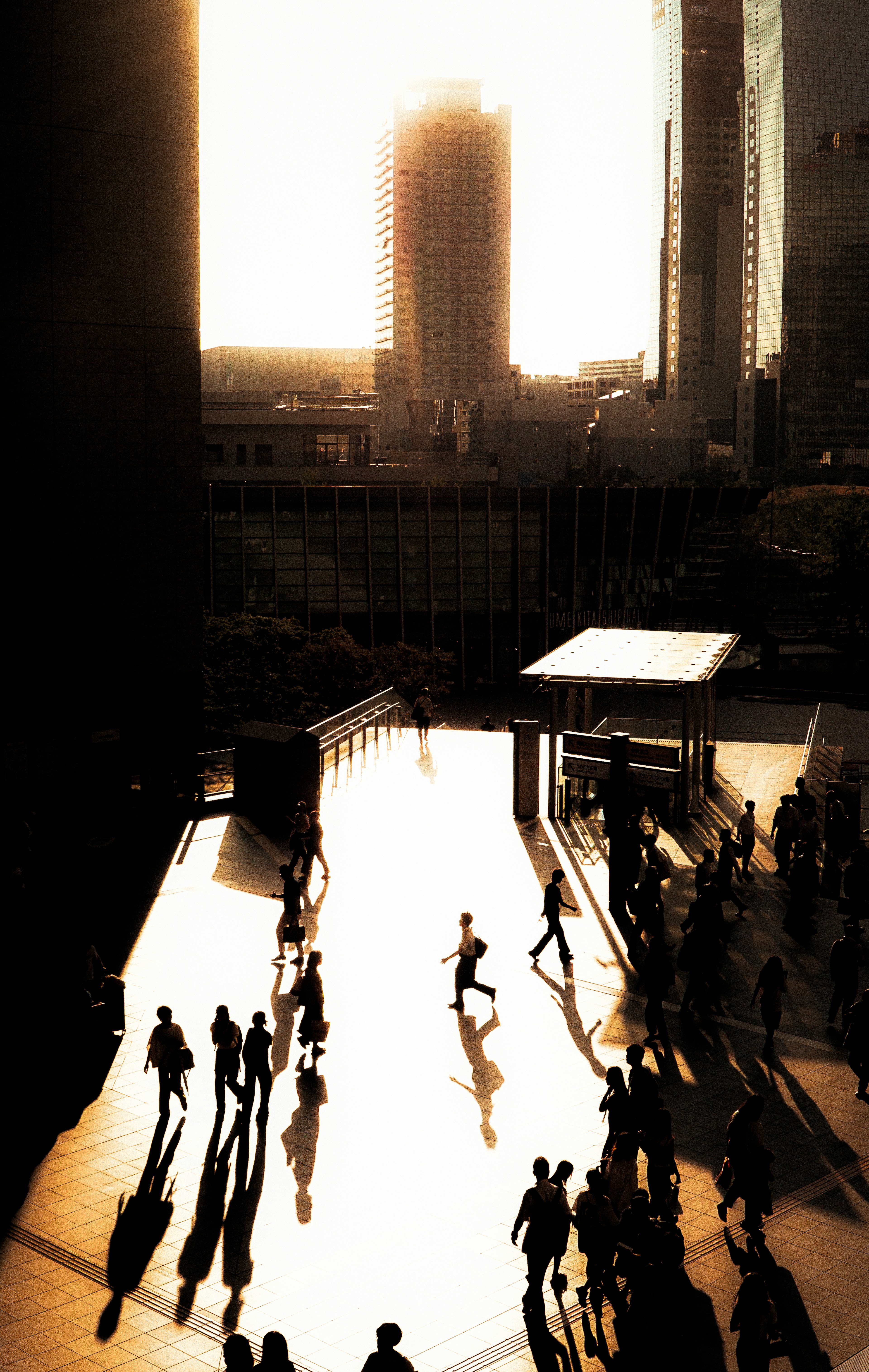 夕日の中を行き交う人々の影が映る都市の風景