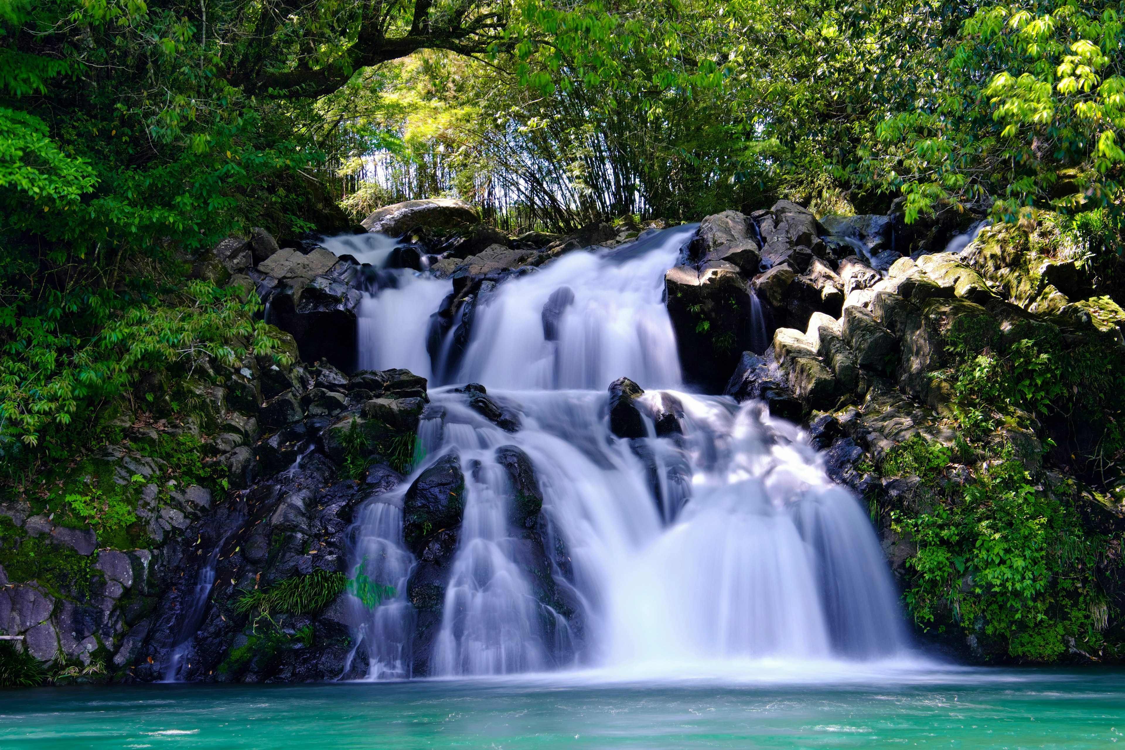 Una bellissima cascata circondata da alberi verdi lussureggianti