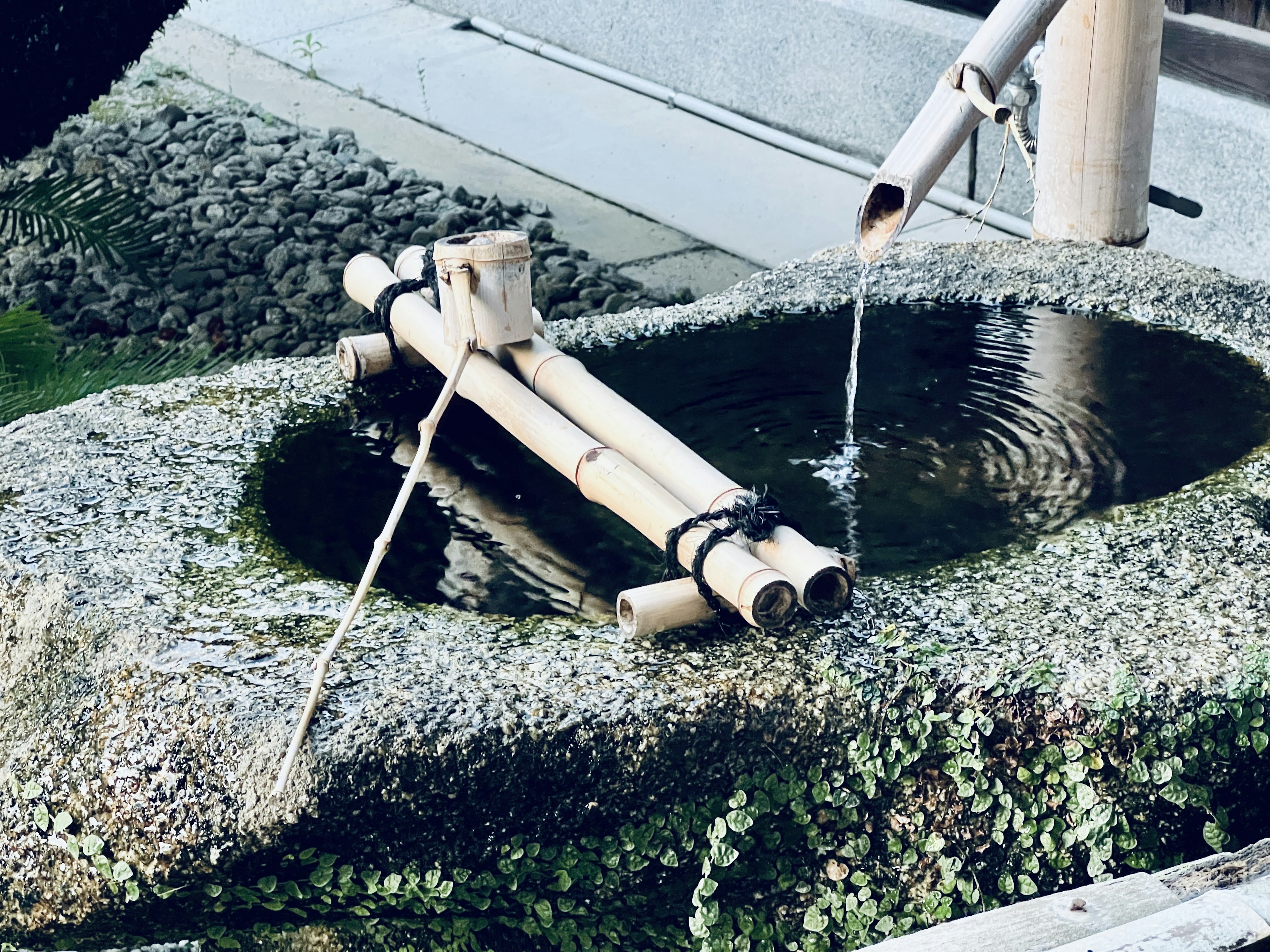 Un courant d'eau de bambou dans un bassin en pierre avec de la mousse