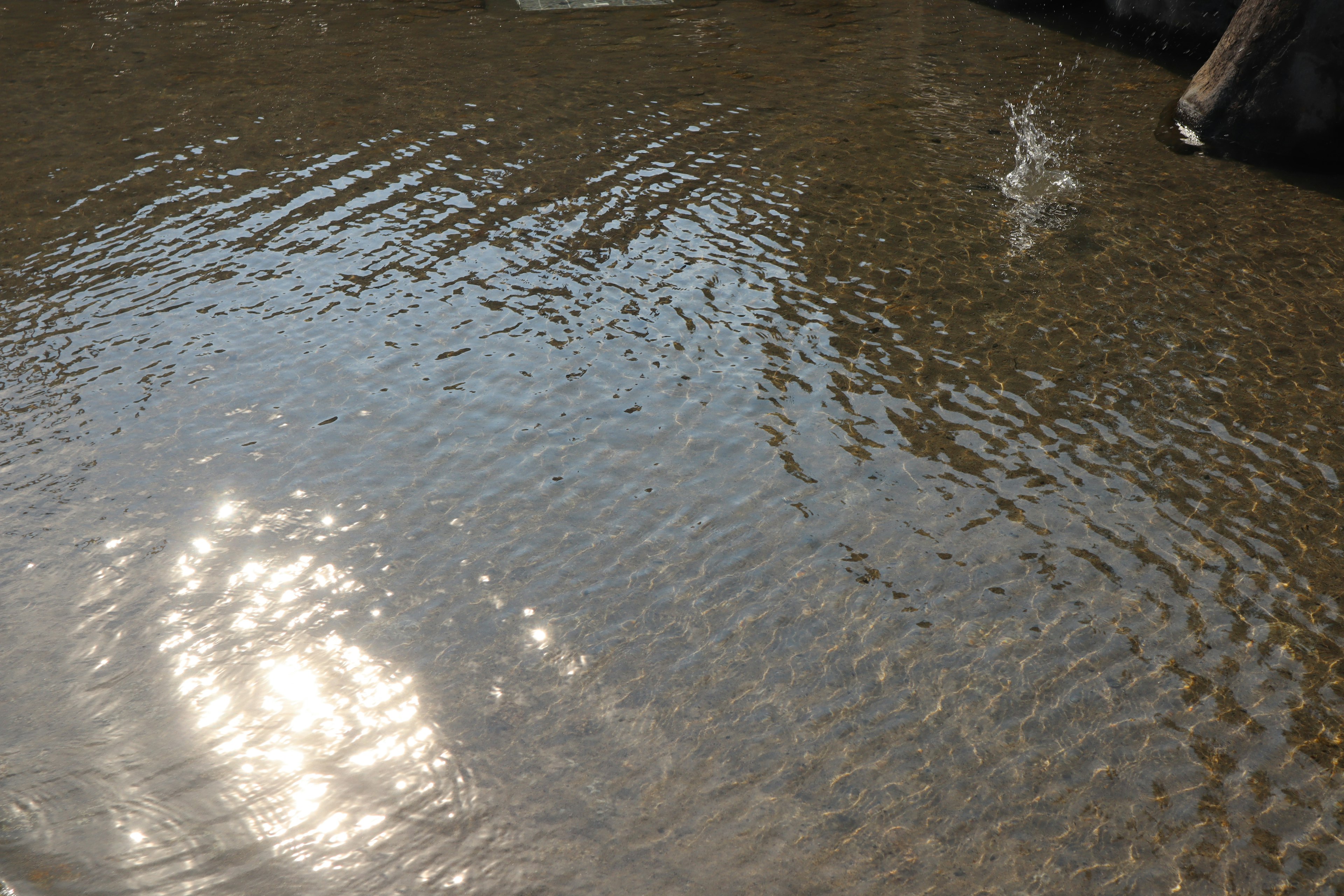 Rippling water surface reflecting sunlight