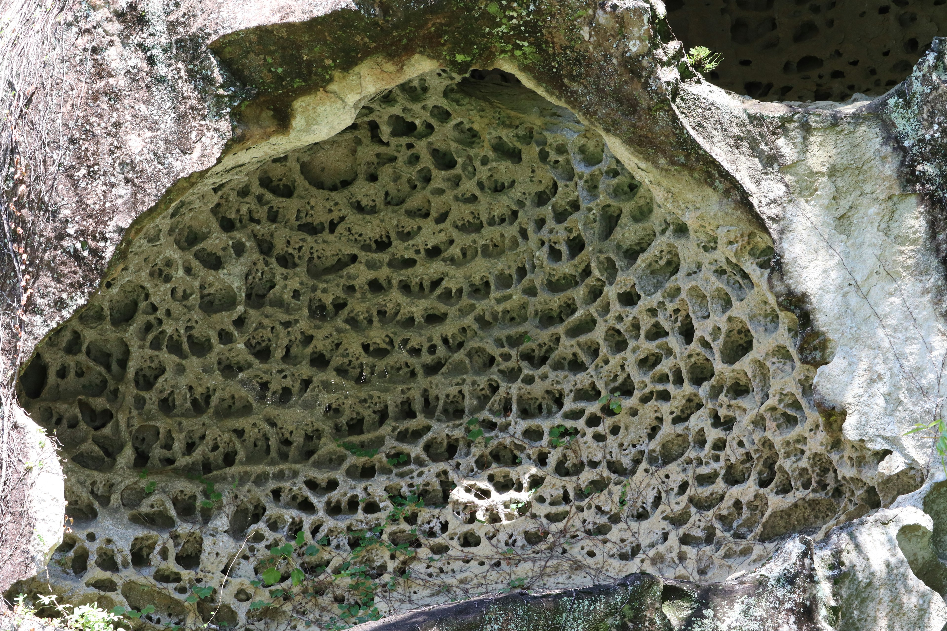 Coupe transversale de roche avec des motifs creux uniques