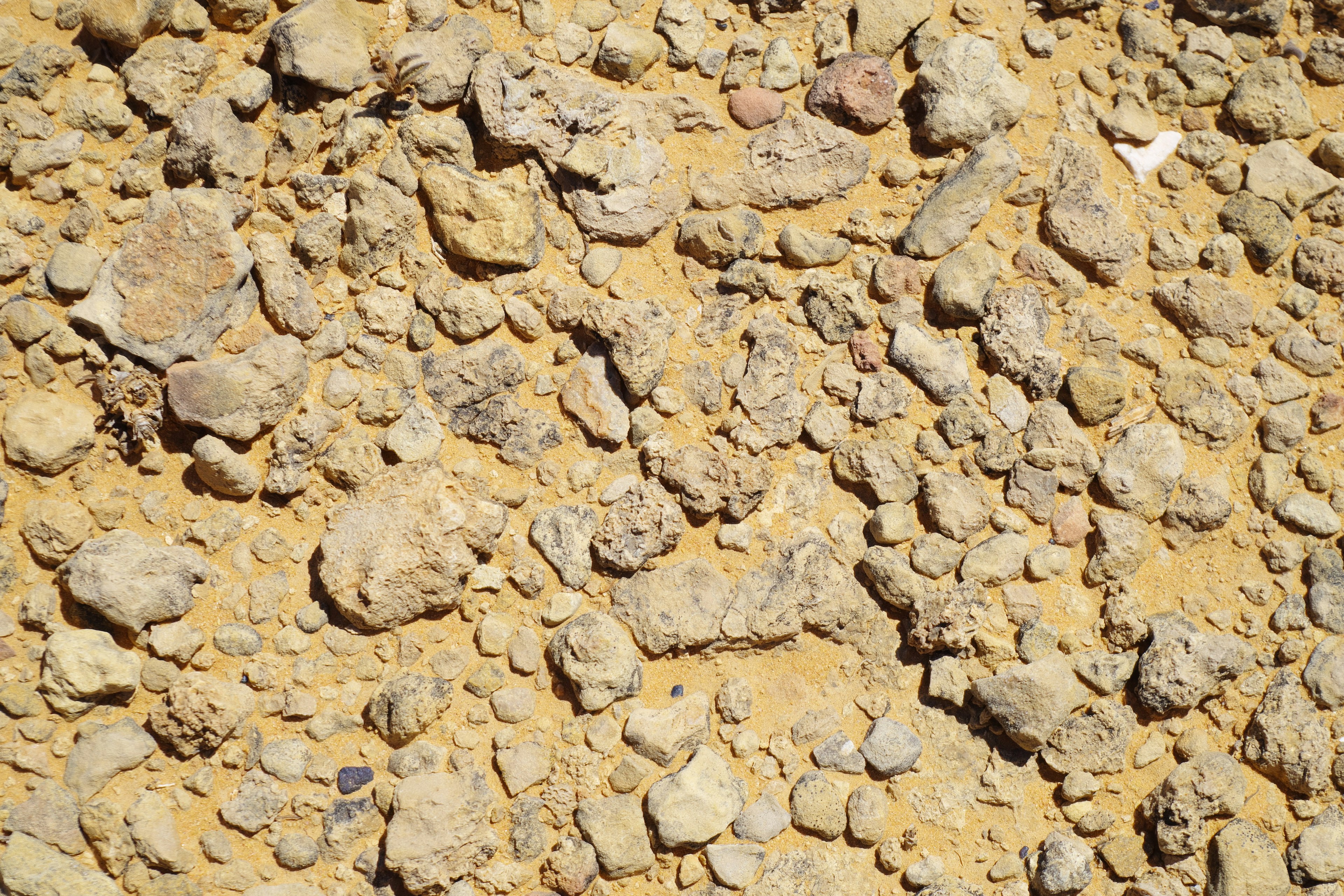 A close-up of a sandy surface with small rocks and pebbles