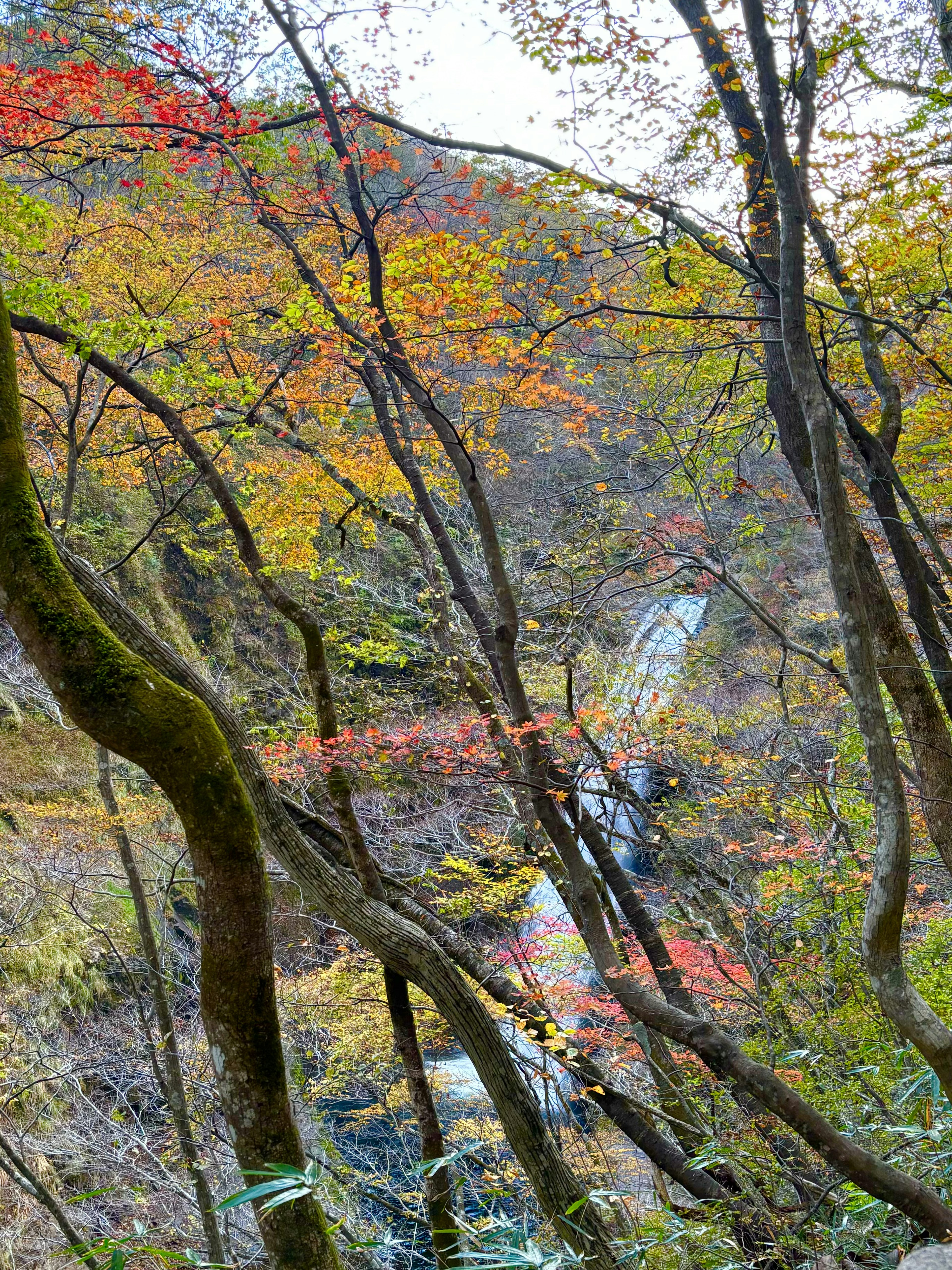 Malersicher Blick auf ein Bergtal mit buntem Herbstlaub