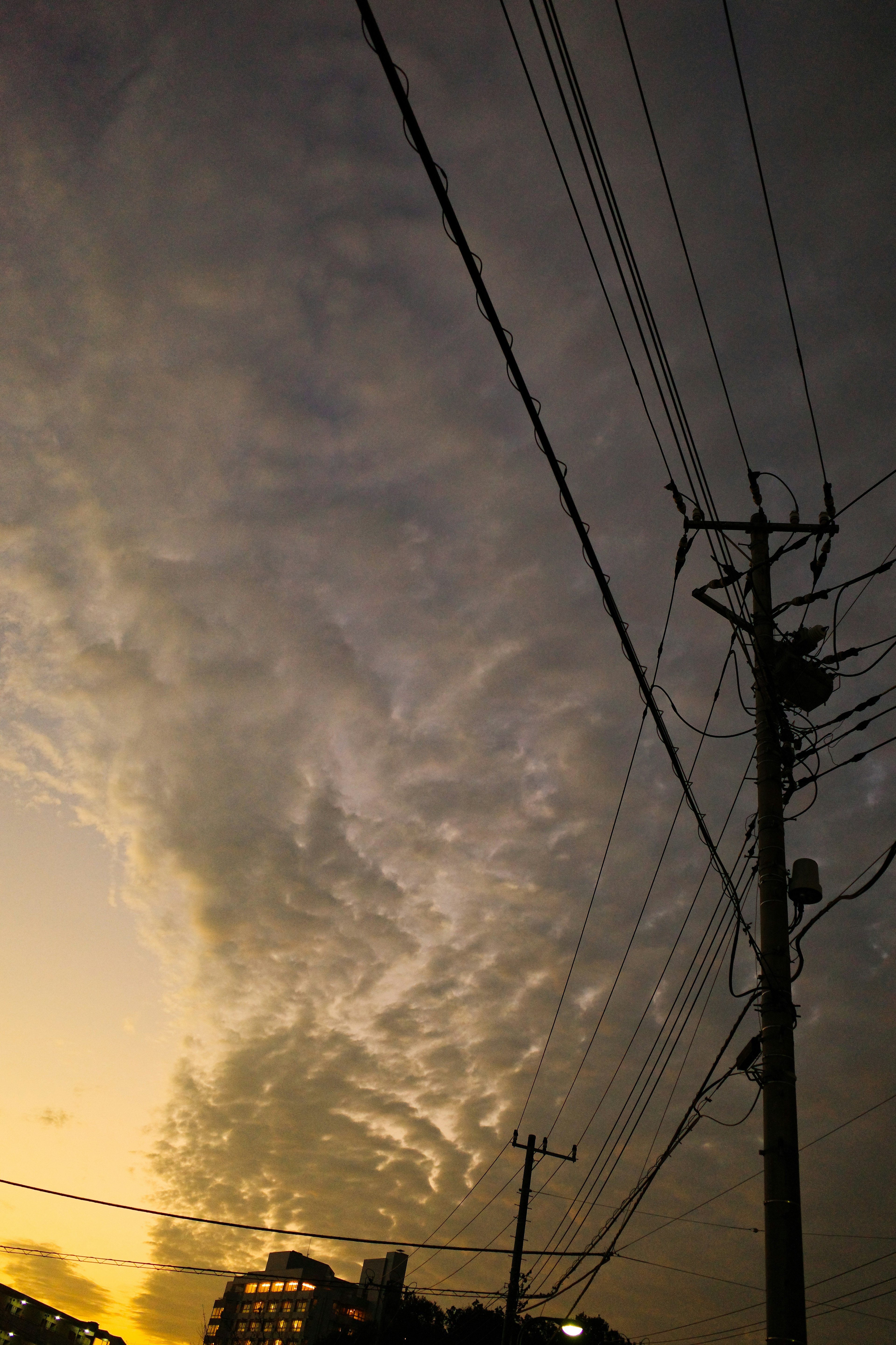 Silhouette of utility poles against a sunset sky with clouds