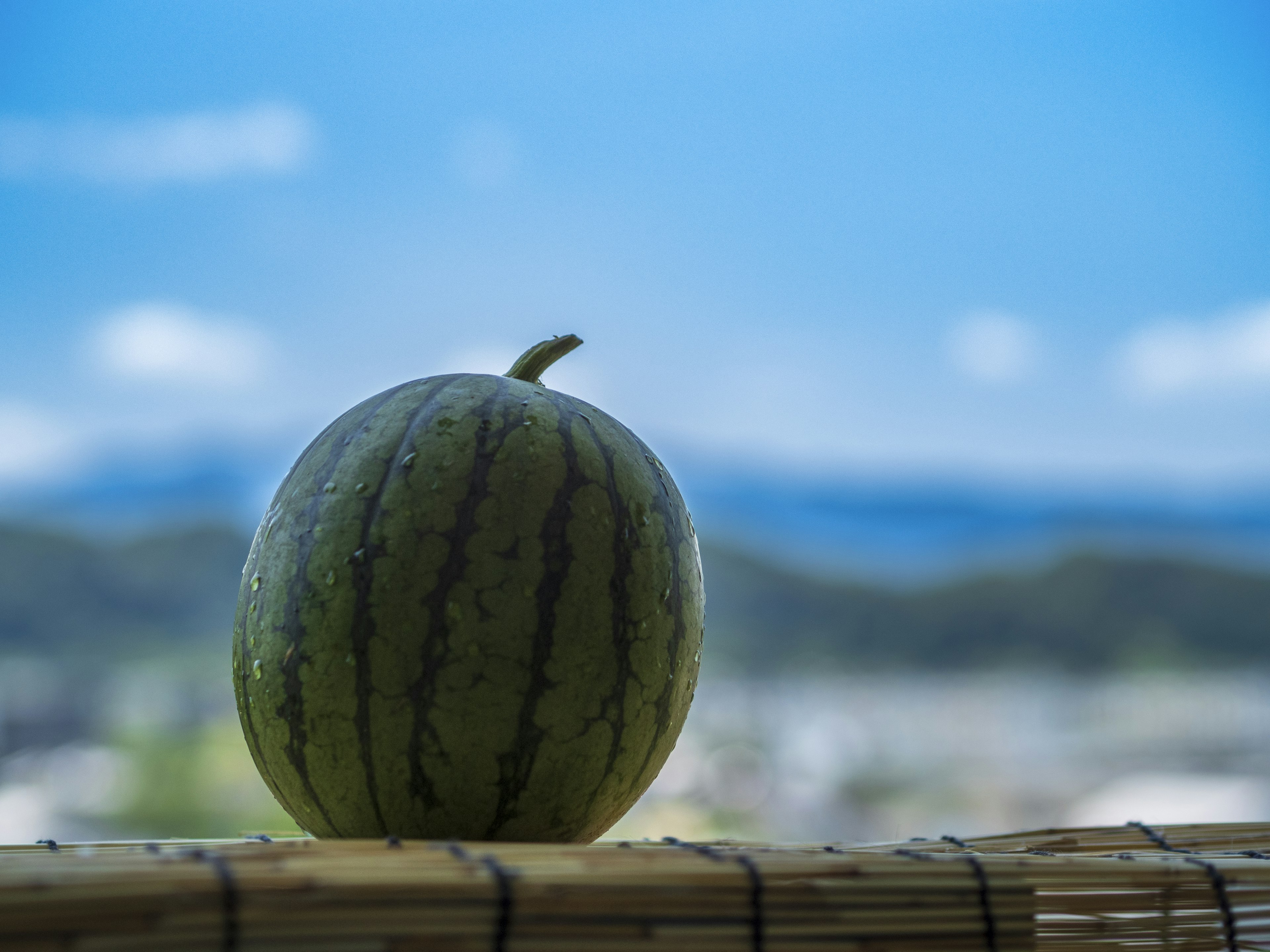 Gros plan d'une pastèque sous un ciel bleu