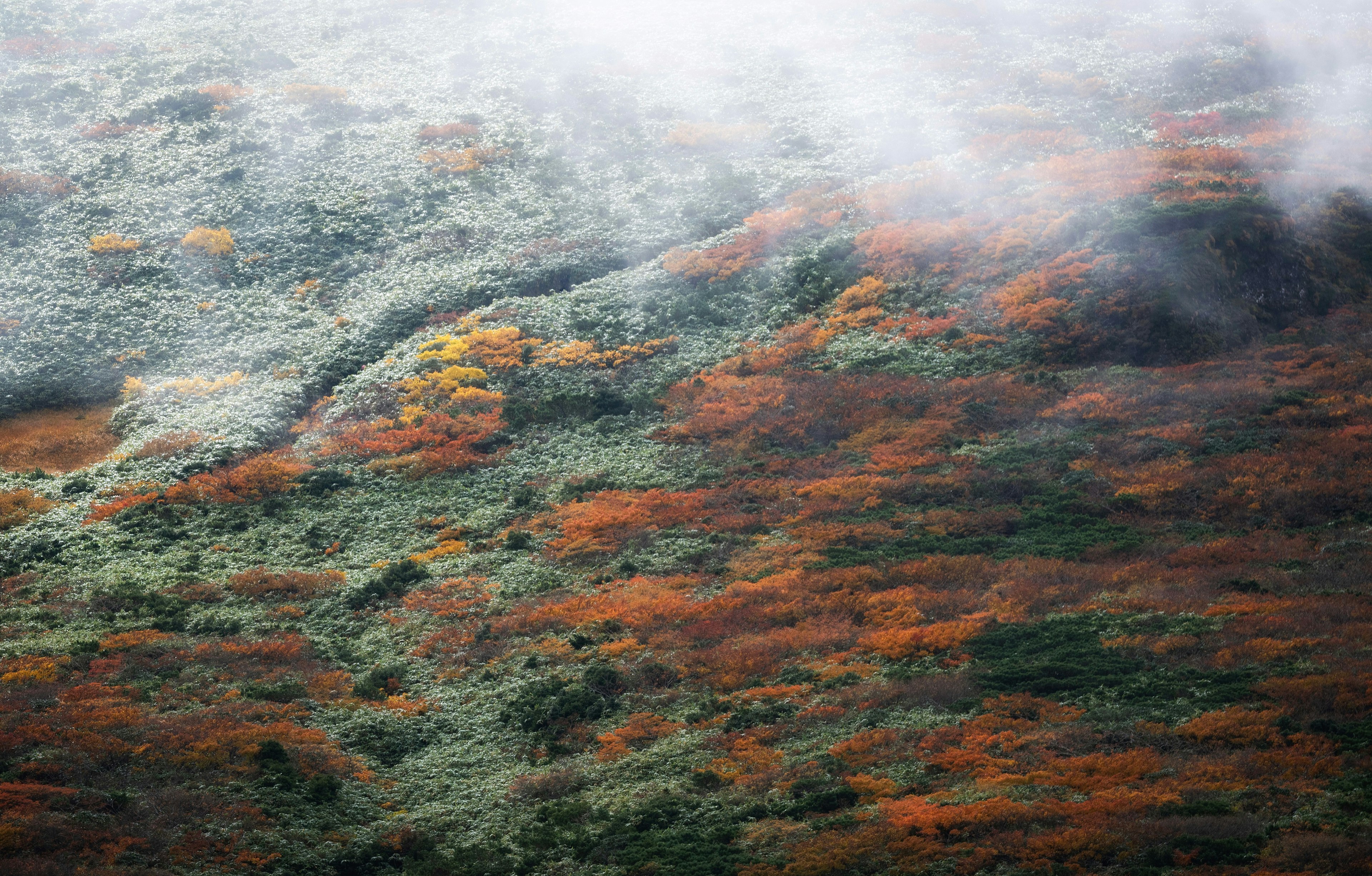 霧に包まれた色とりどりの山の風景