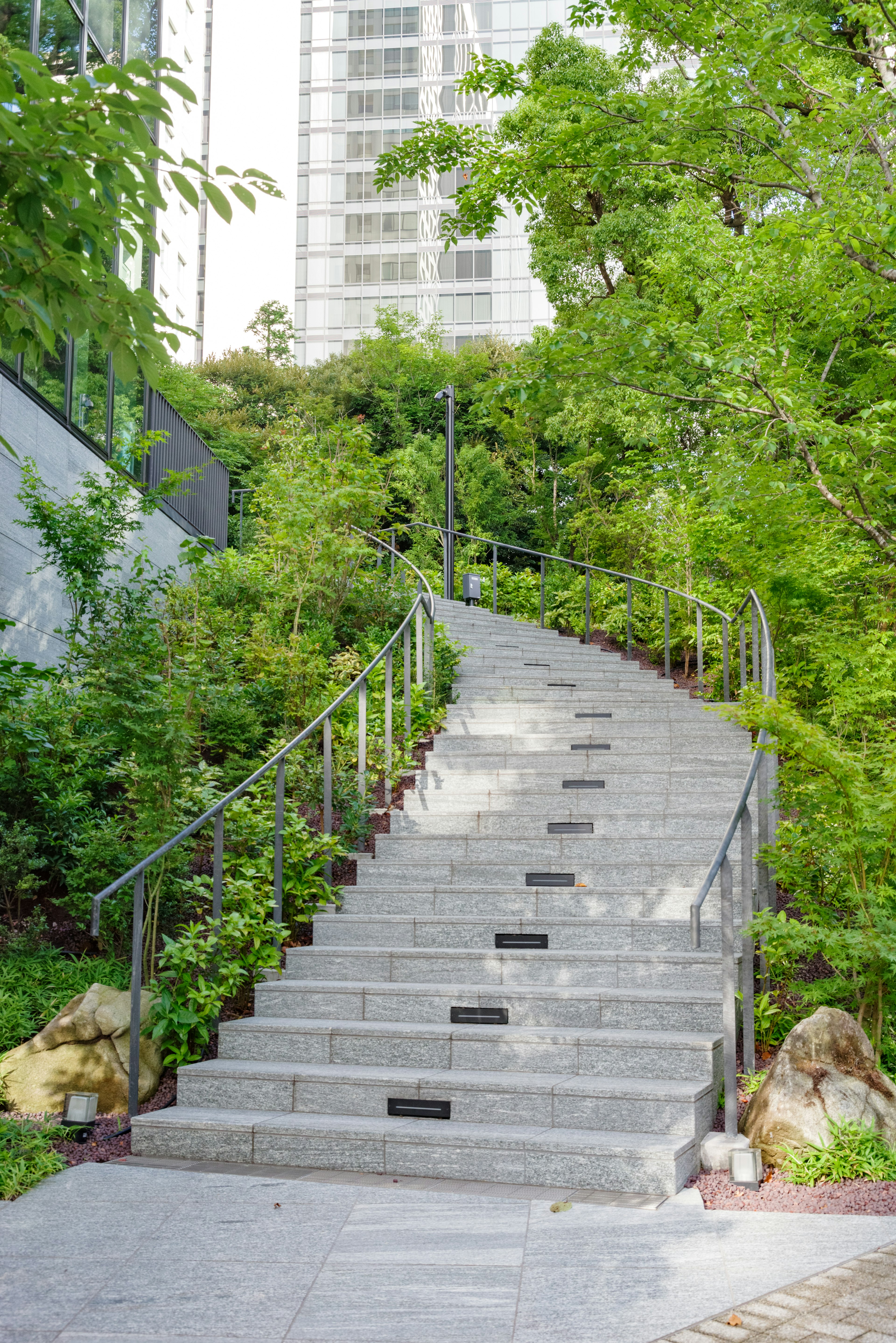 Escalera curva rodeada de vegetación con edificios modernos al fondo