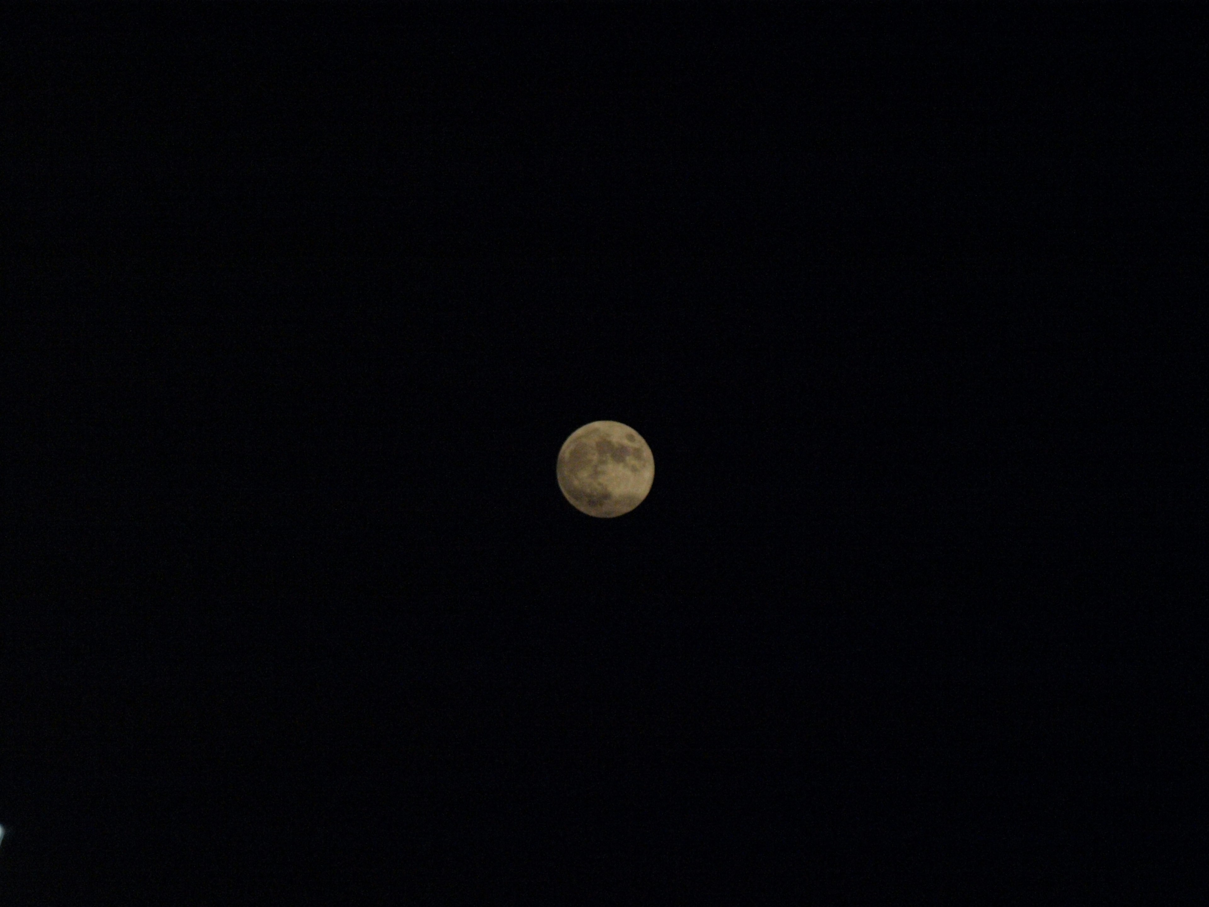 夜空に浮かぶ満月の明るい姿