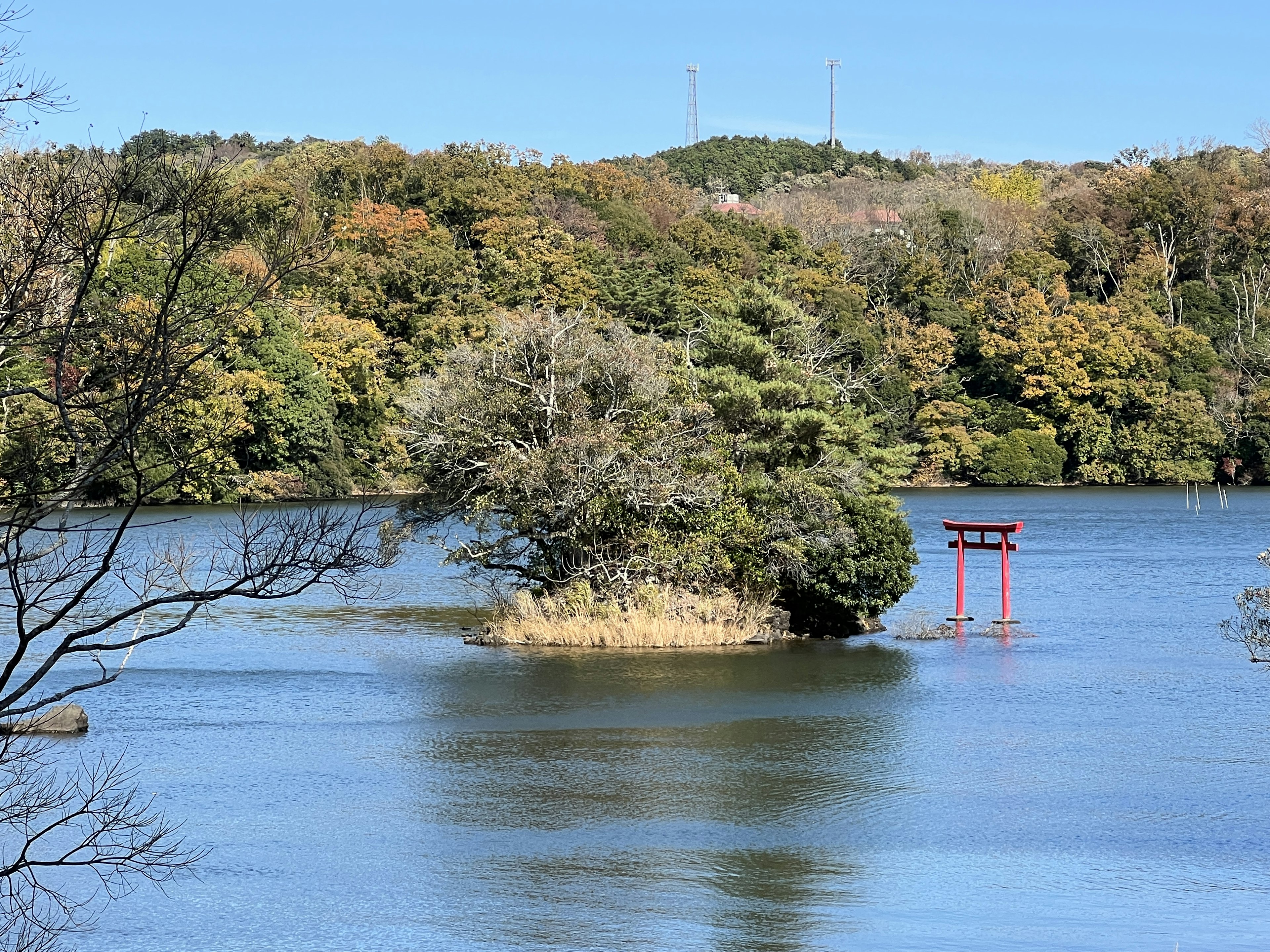 静かな湖の島にある小さな木と赤い鳥居の景色