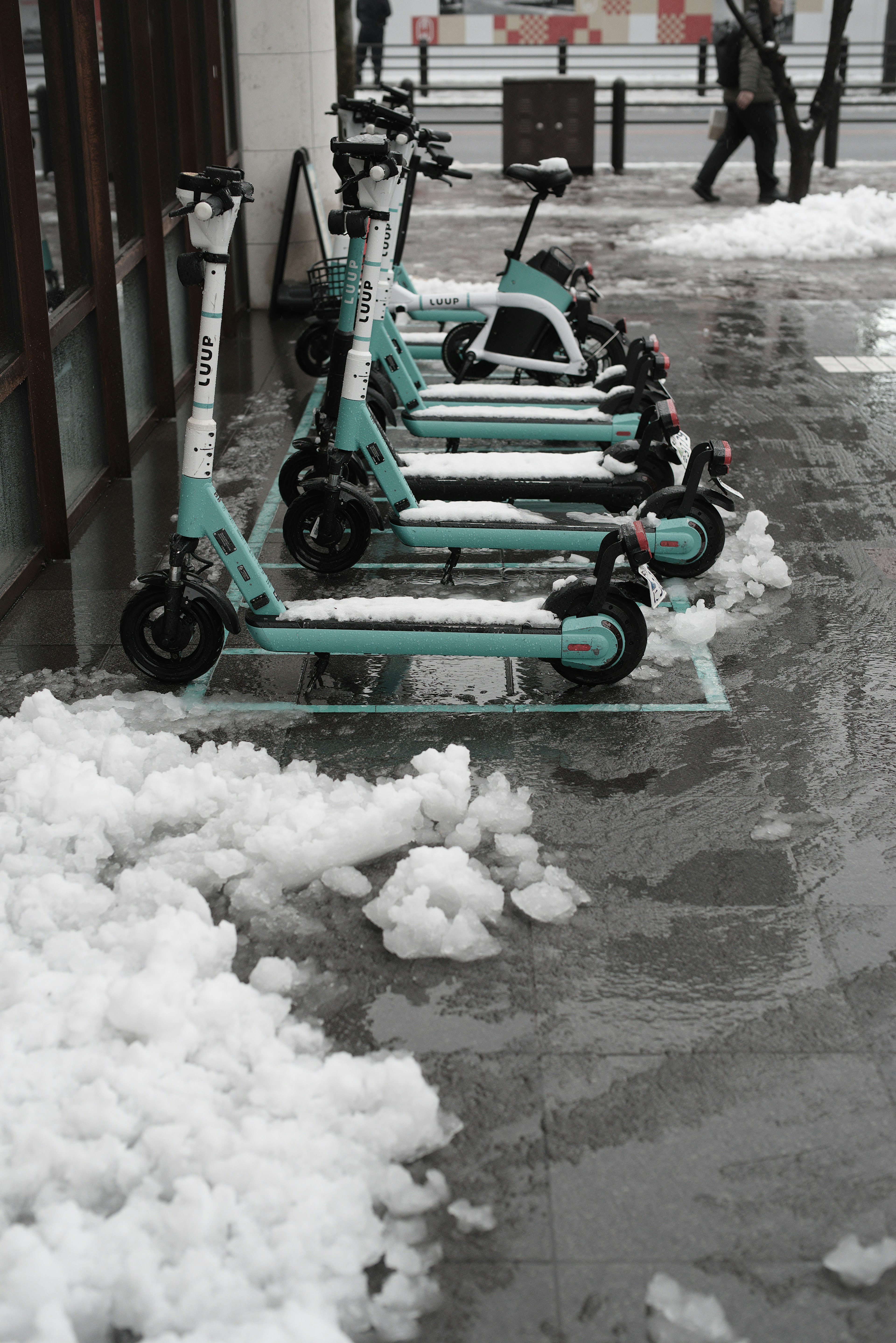 Row of electric scooters parked on a snowy sidewalk