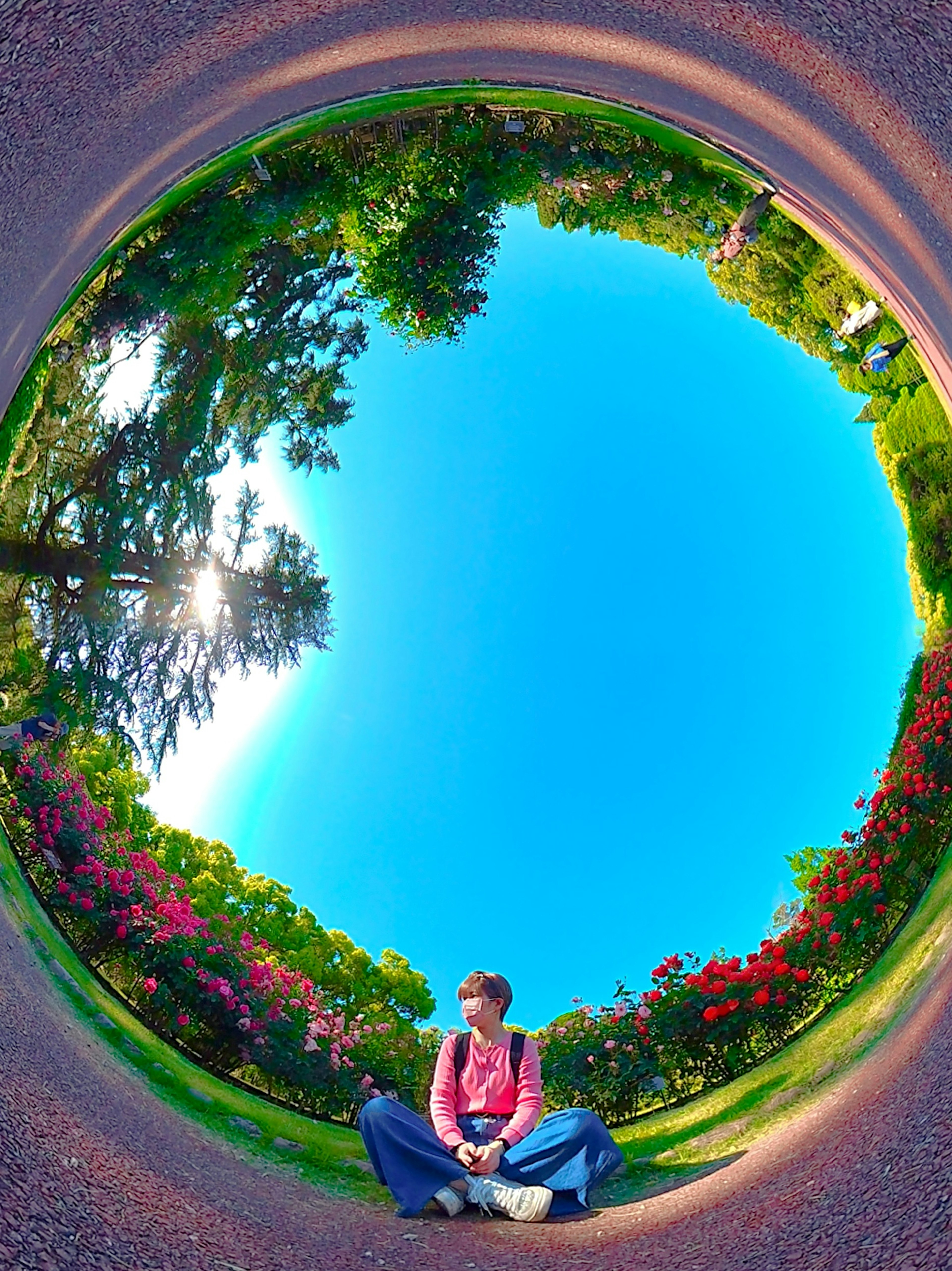 Panoramafoto einer Person, die sich in einem Park entspannt Heller blauer Himmel und grüne Bäume Bunte Blumen sichtbar