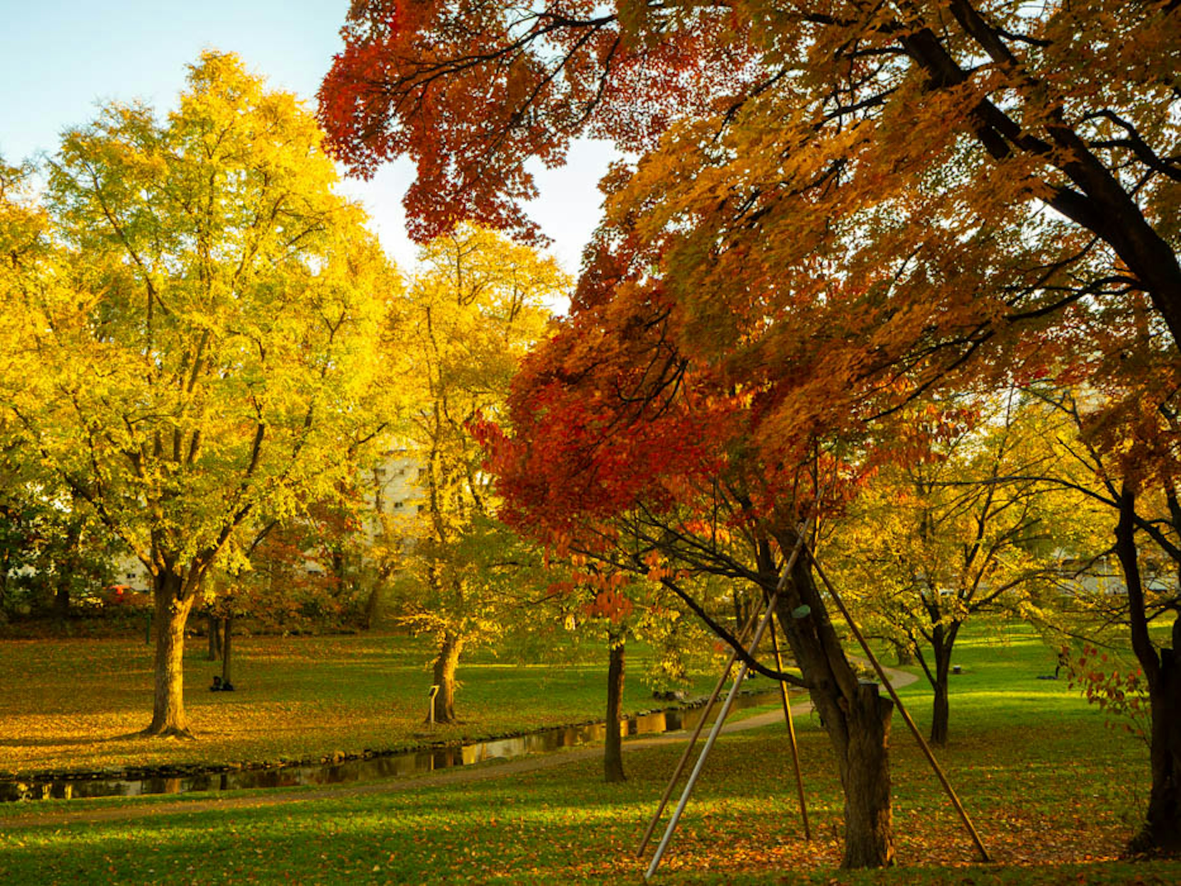 Herbstlandschaft mit bunten Bäumen in einem Park