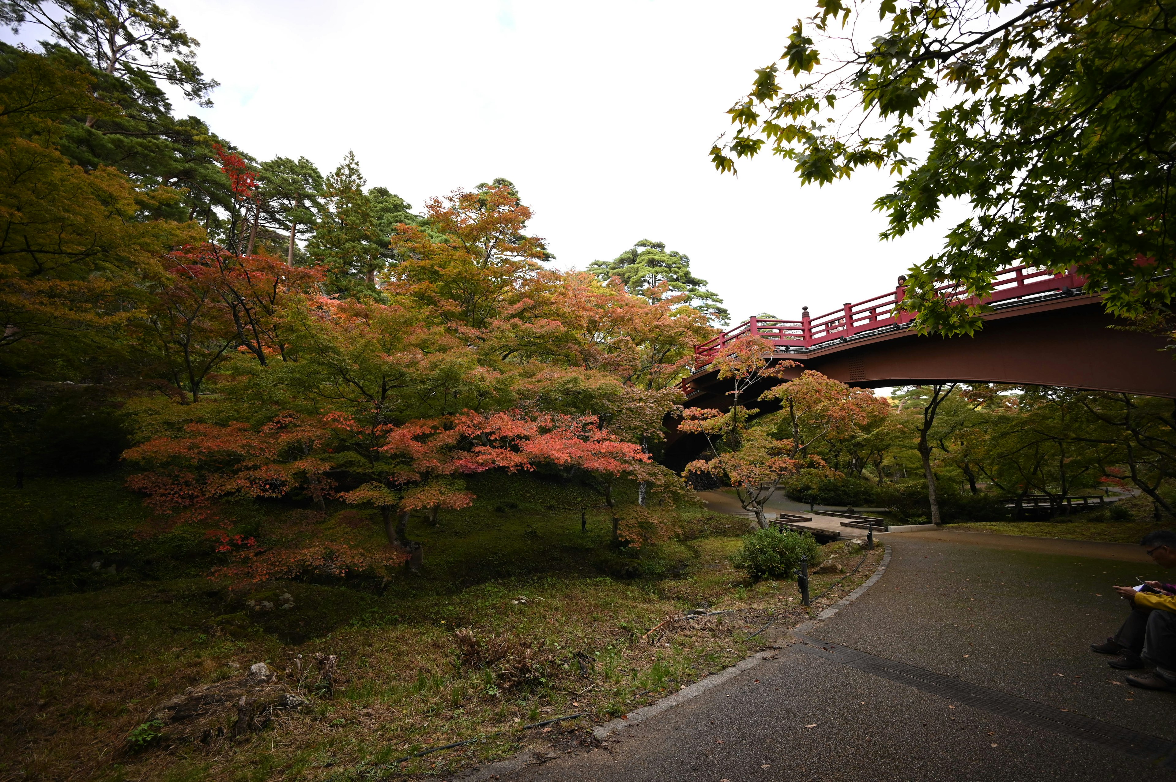 公園景色，秋天的葉子和紅色橋樑